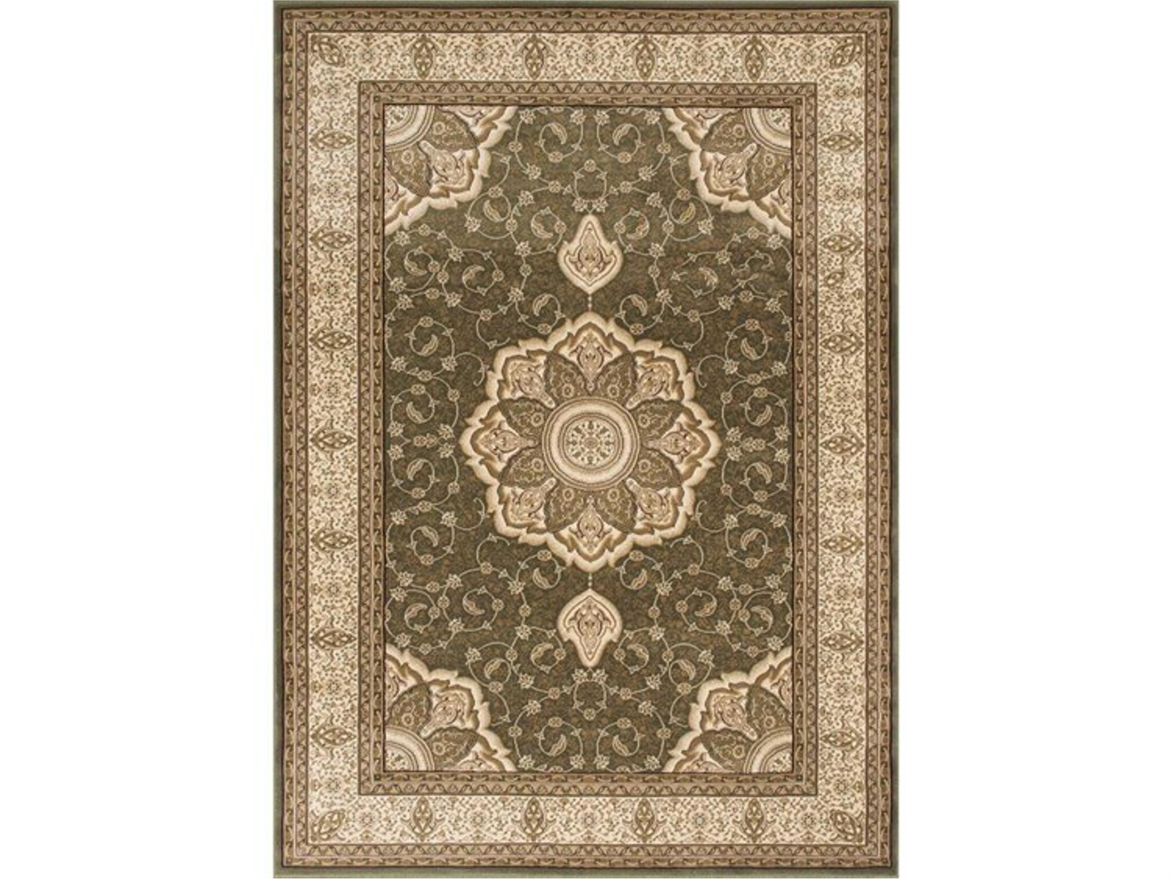 Rg06-s Oriental Area Rug