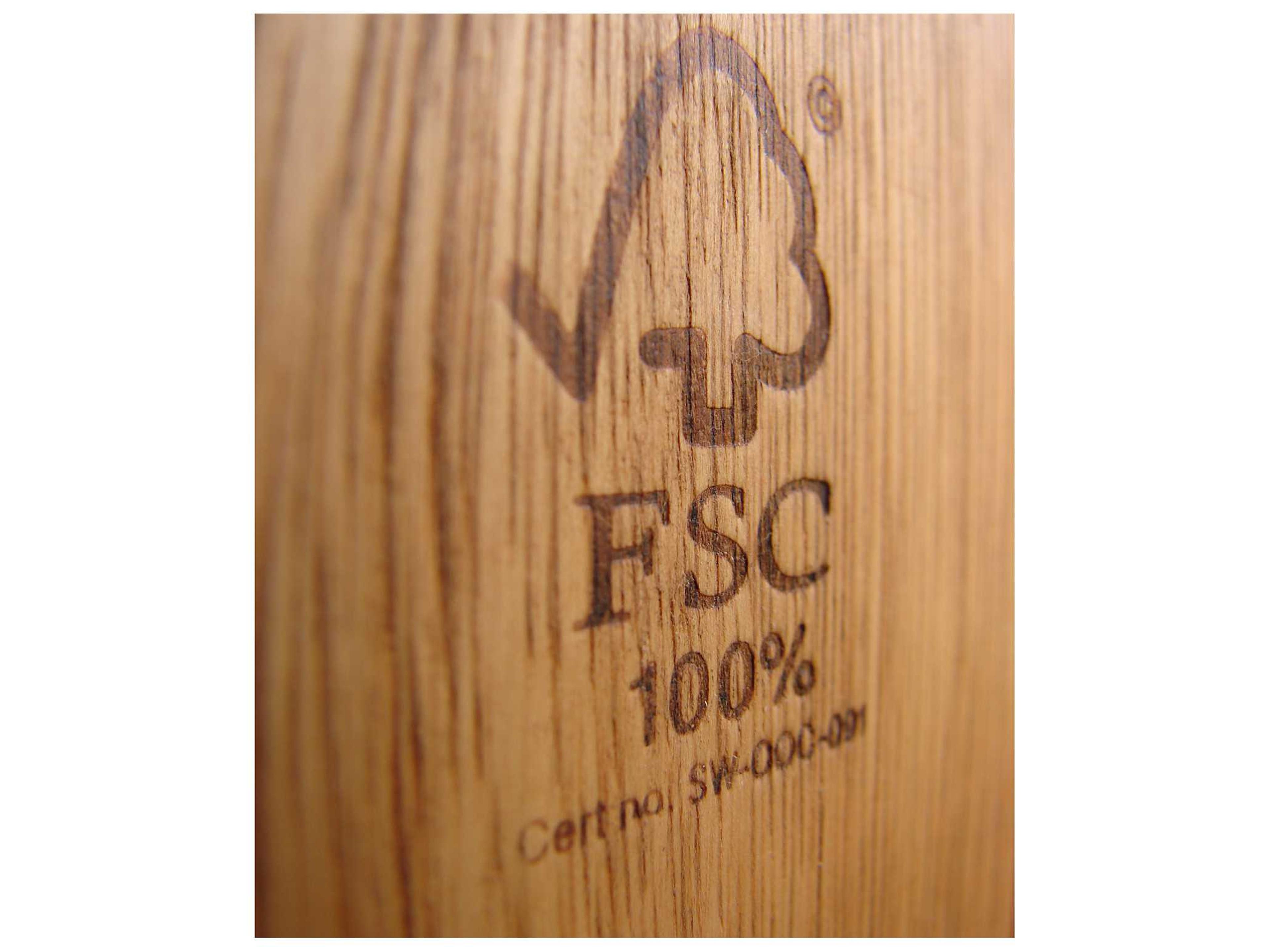 International Home Miami Amazonia Bahamas 9 Piece Eucalyptus Extendable Rectangular Patio Dining Set with Brown Sling Chair