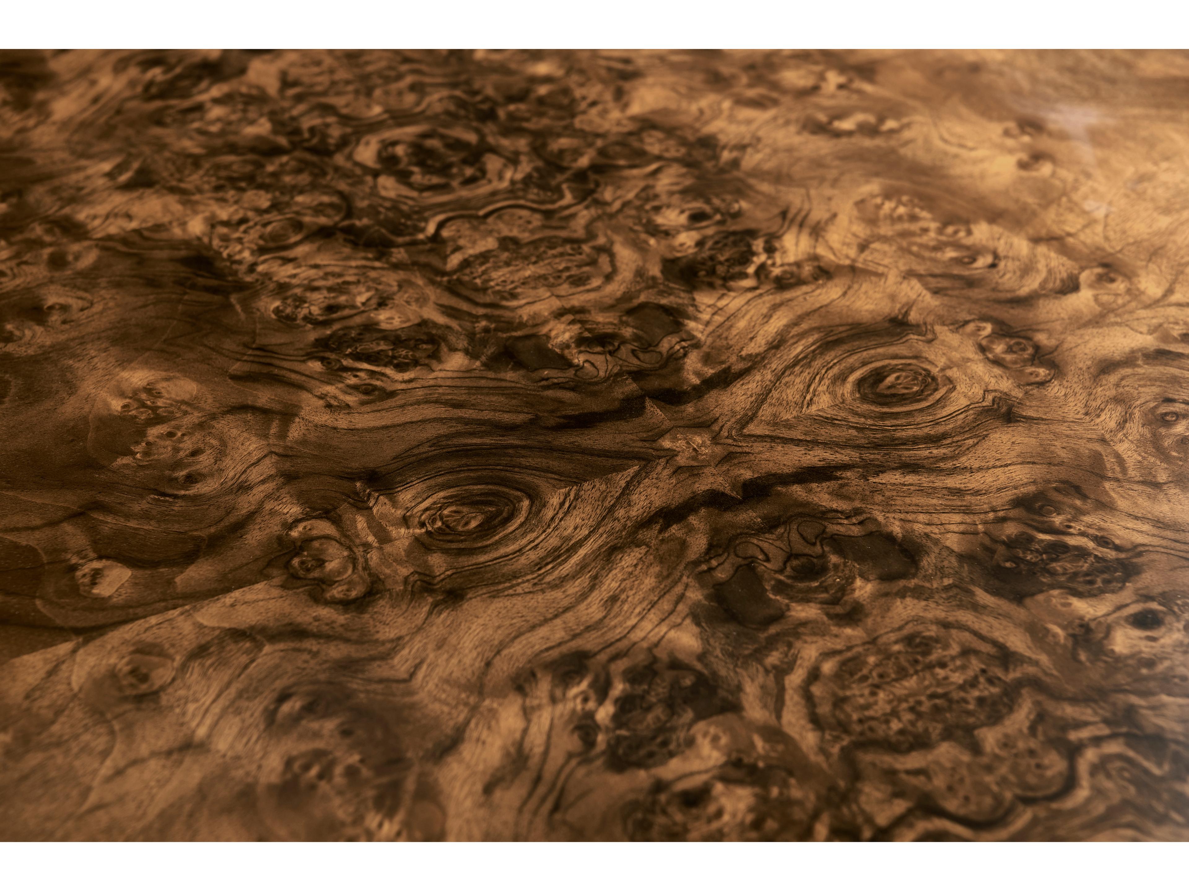 Jonathan Charles Jc Modern Rectangular Wood Walnut Burl Coffee Table