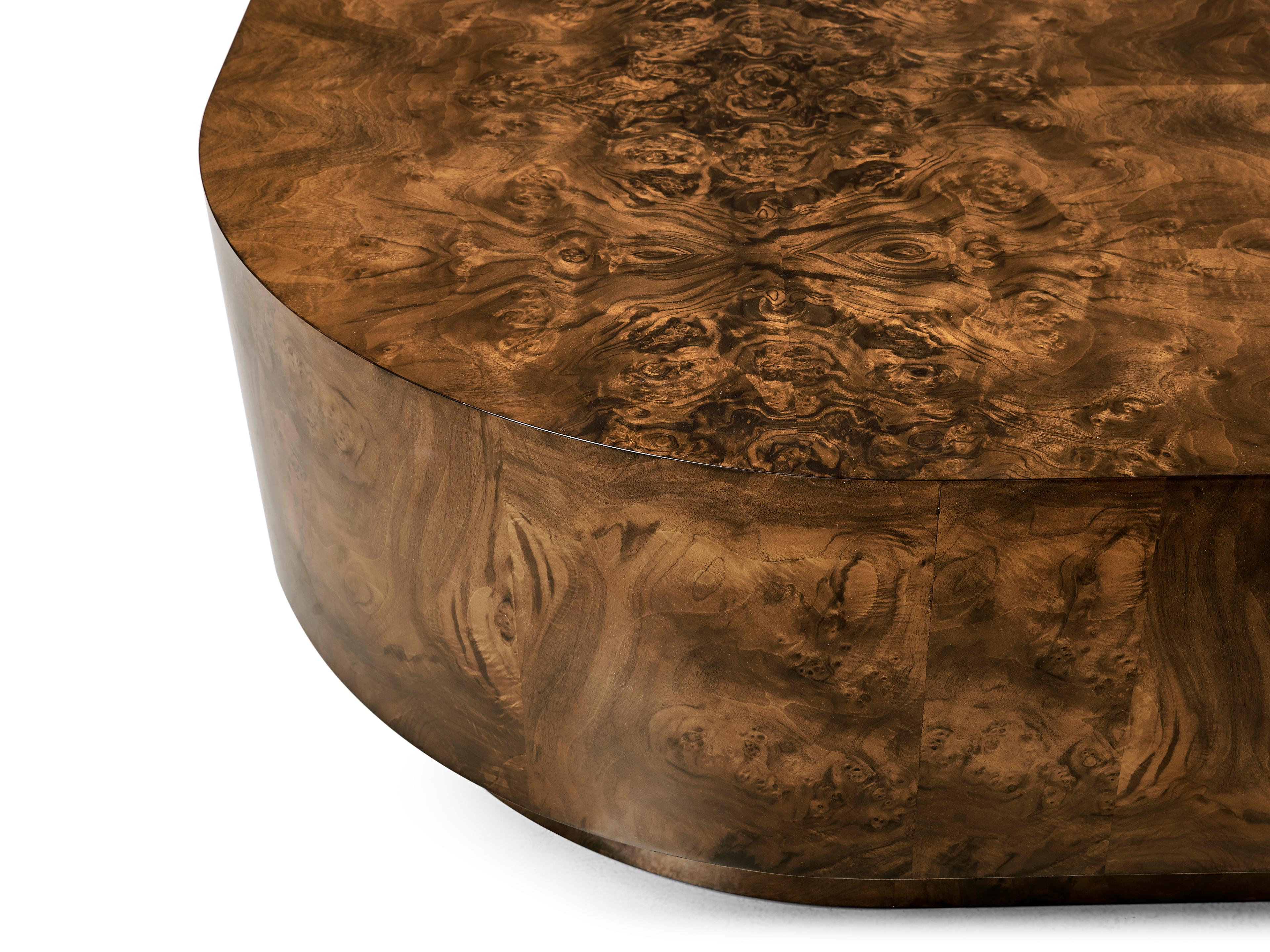 Jonathan Charles Jc Modern Rectangular Wood Walnut Burl Coffee Table