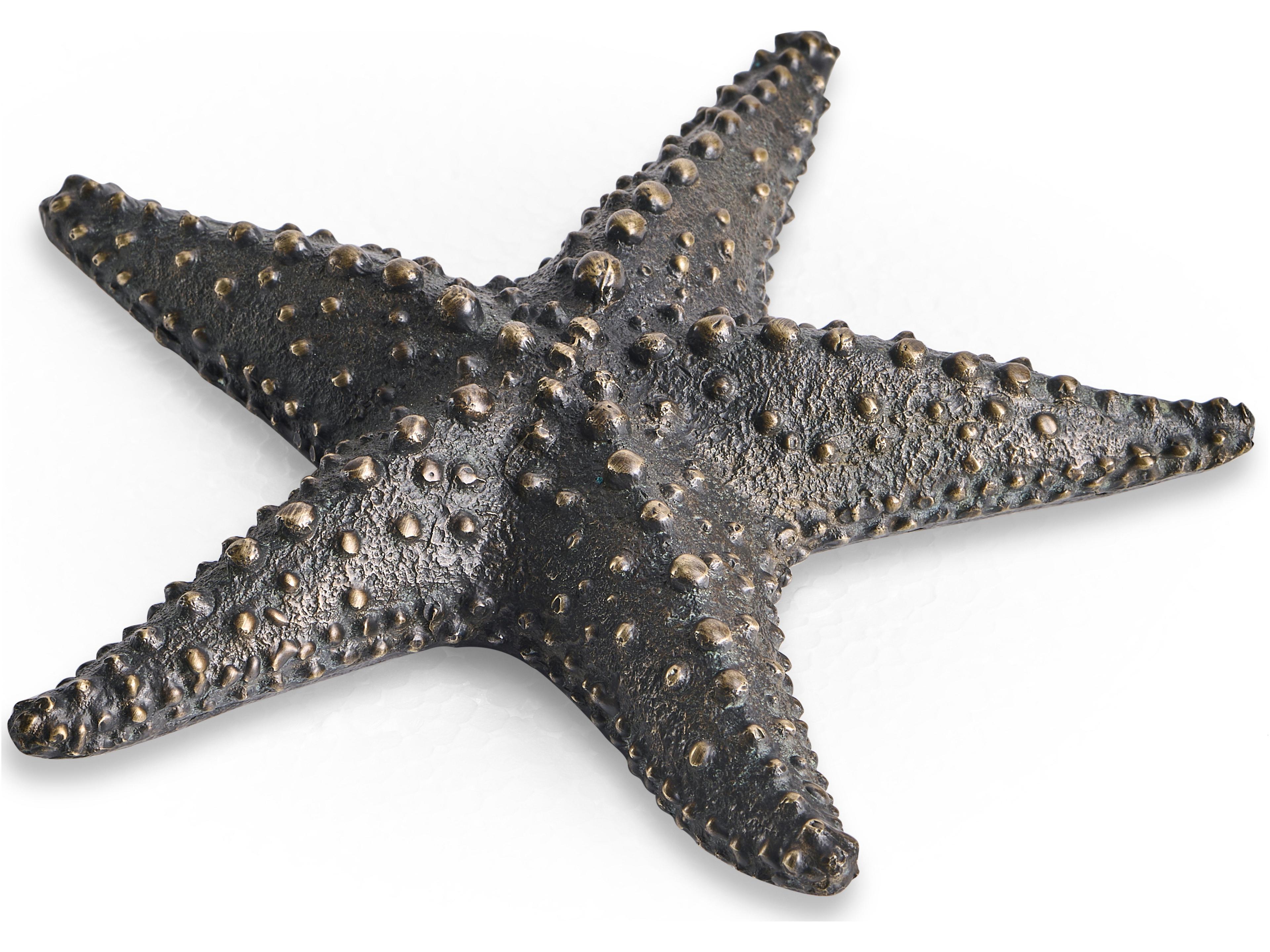 Jonathan Charles Jc Traditional Starfish Brown Dark Bronze Sculpture