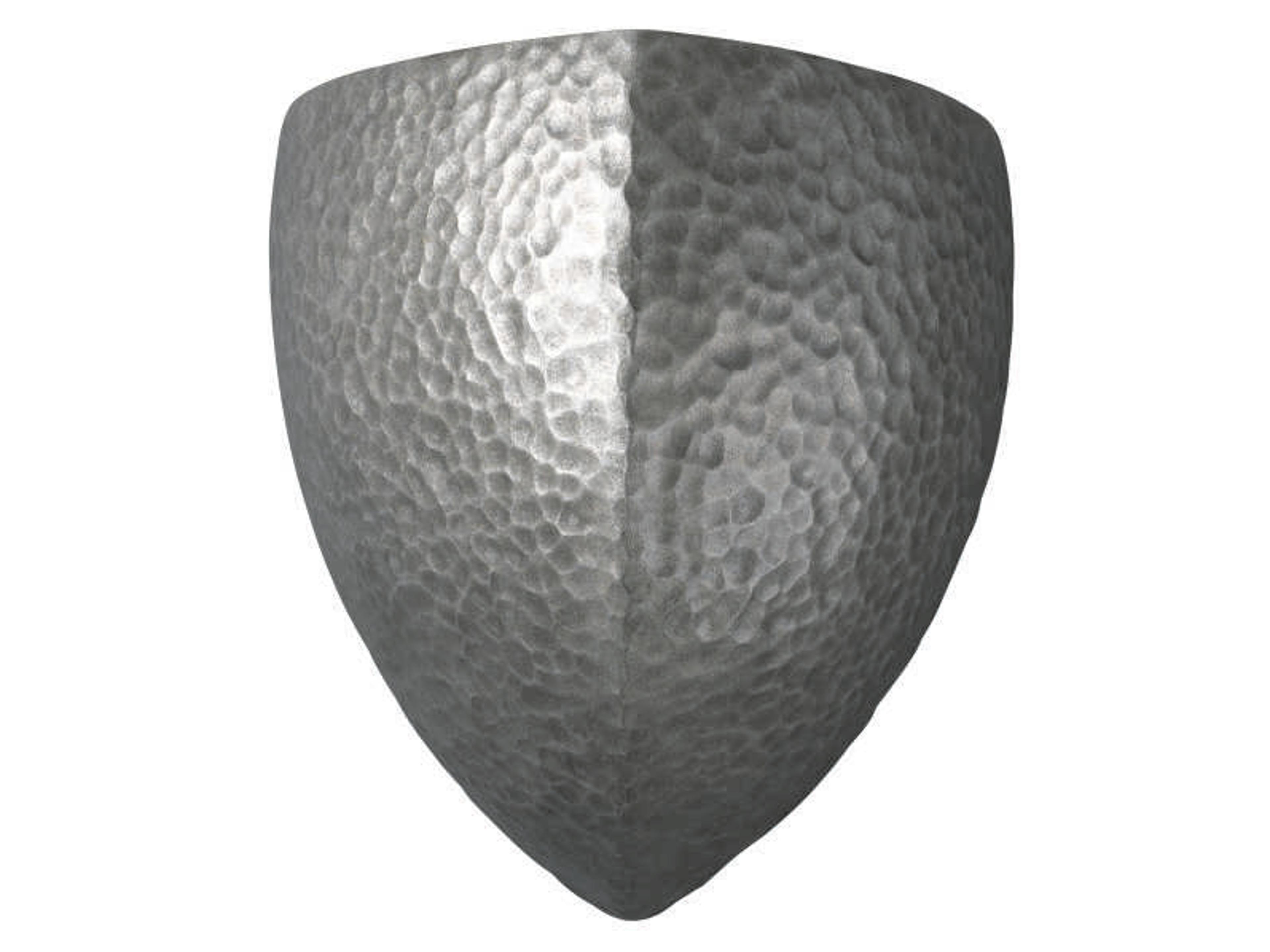 Ambiance 1-Light Silver Wall Sconce