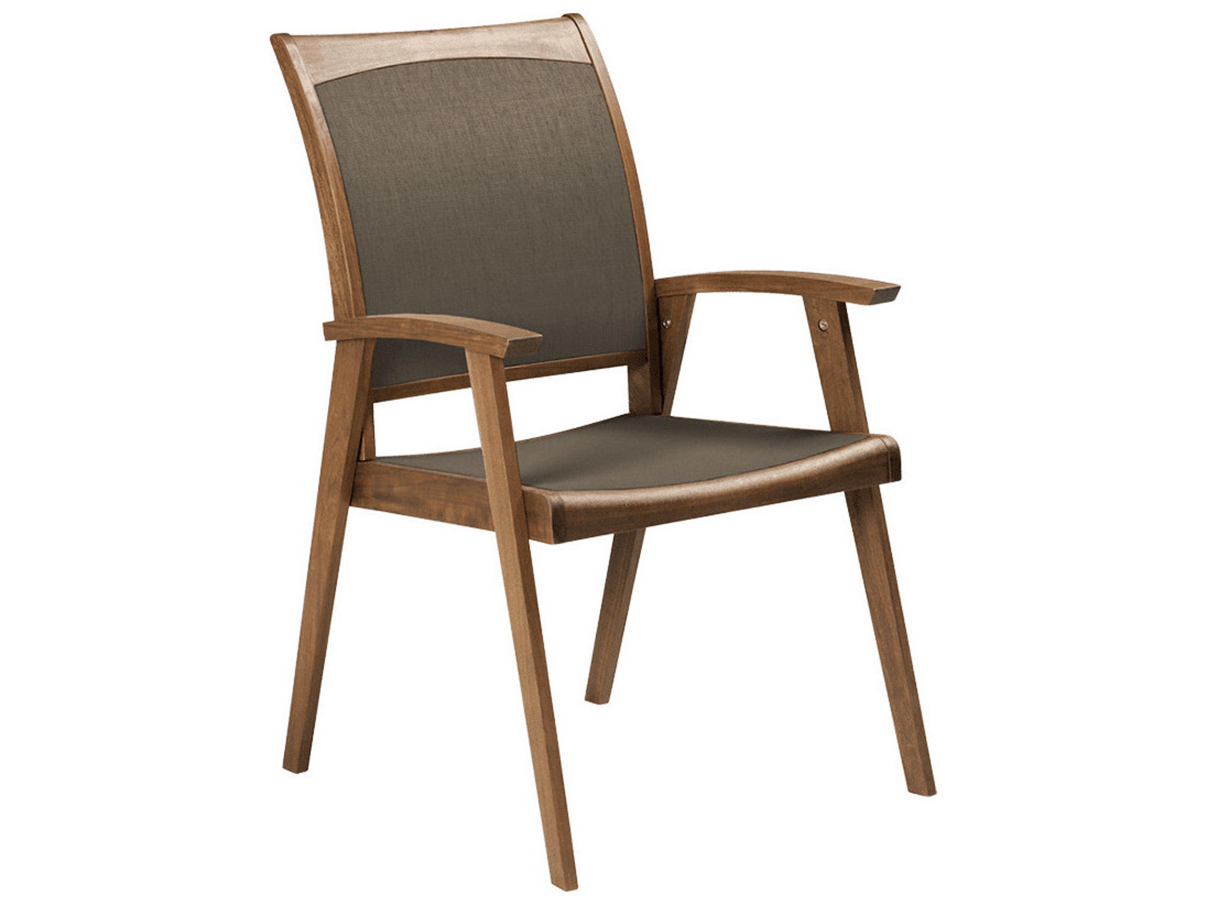Furniture Topaz IPE Sling Arm Chair/ Brown