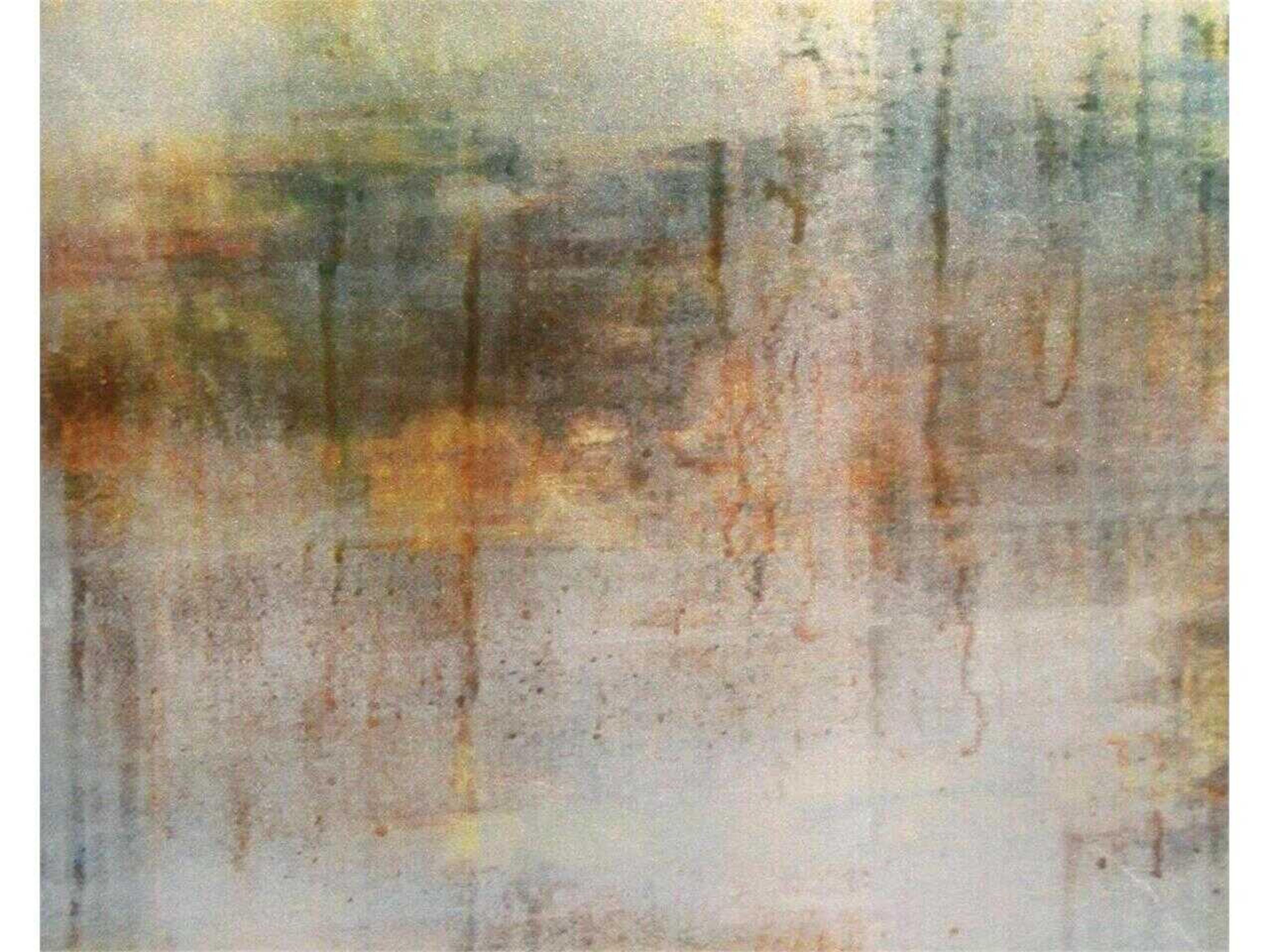 John Richard Shaye Rawson Spring Rain Silver Beech Wood Accent Chest