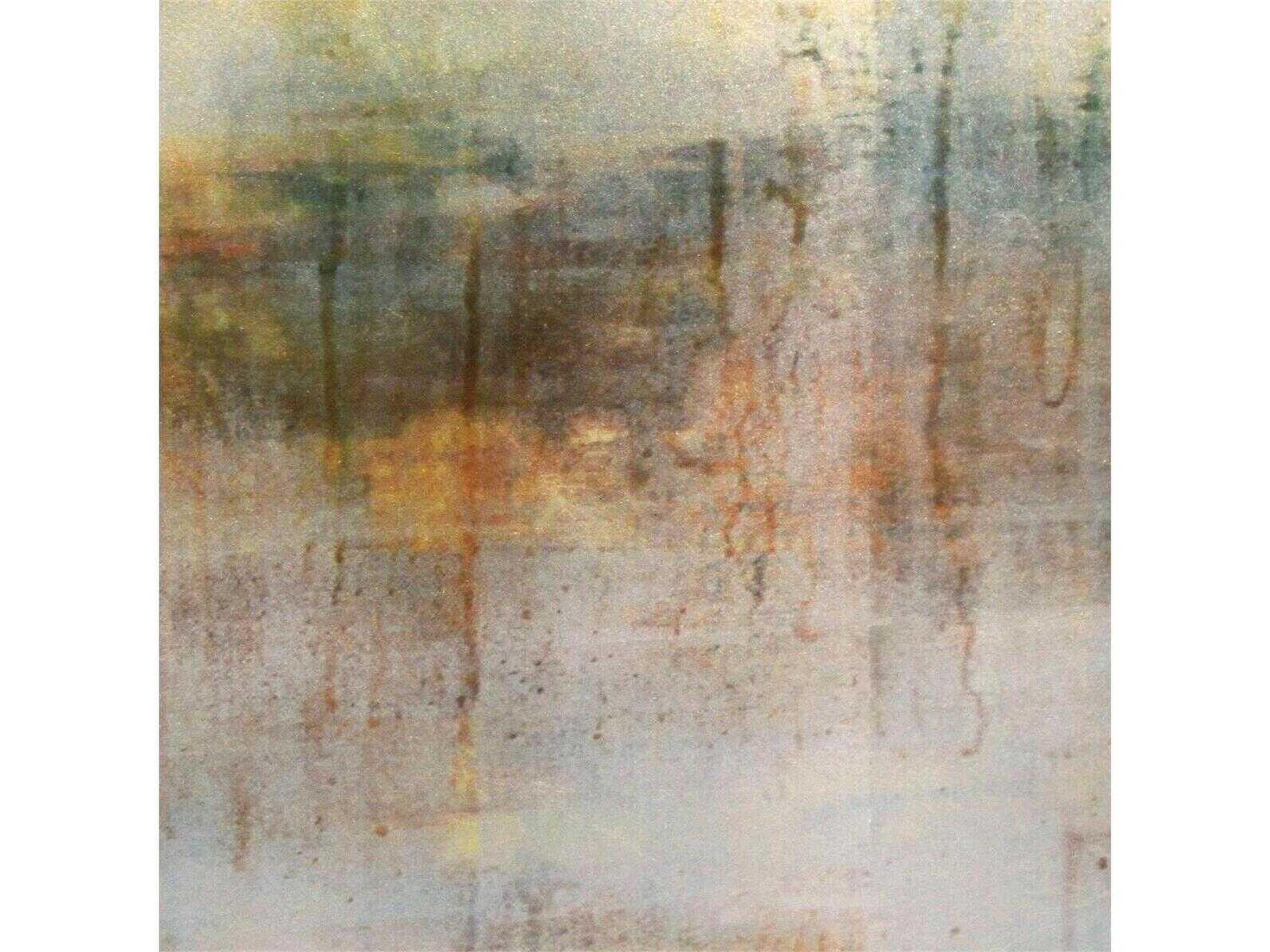 John Richard Shaye Rawson Spring Rain Silver Beech Wood Accent Chest