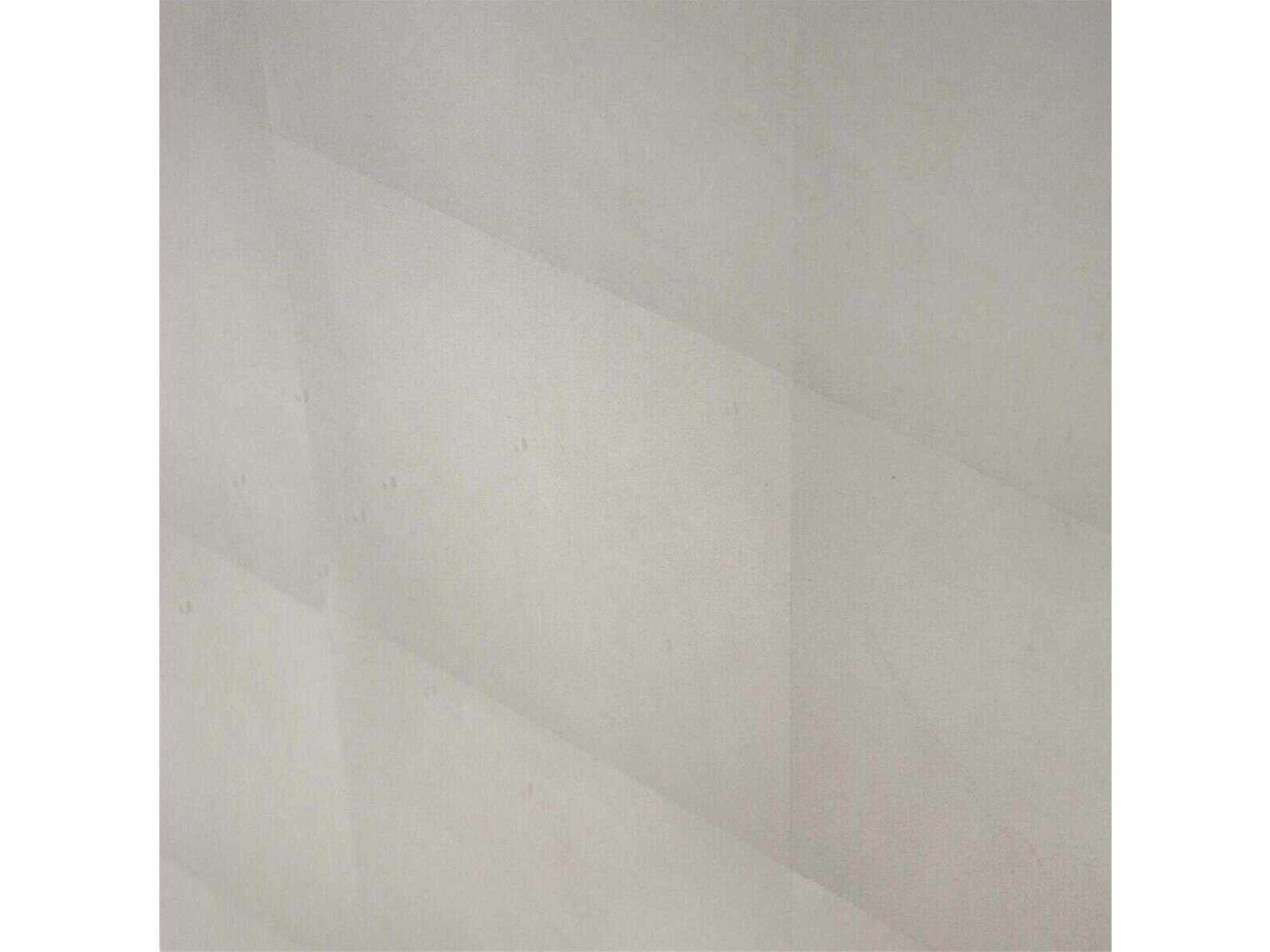 John Richard Shaye Rawson Spring Rain Silver Beech Wood Accent Chest