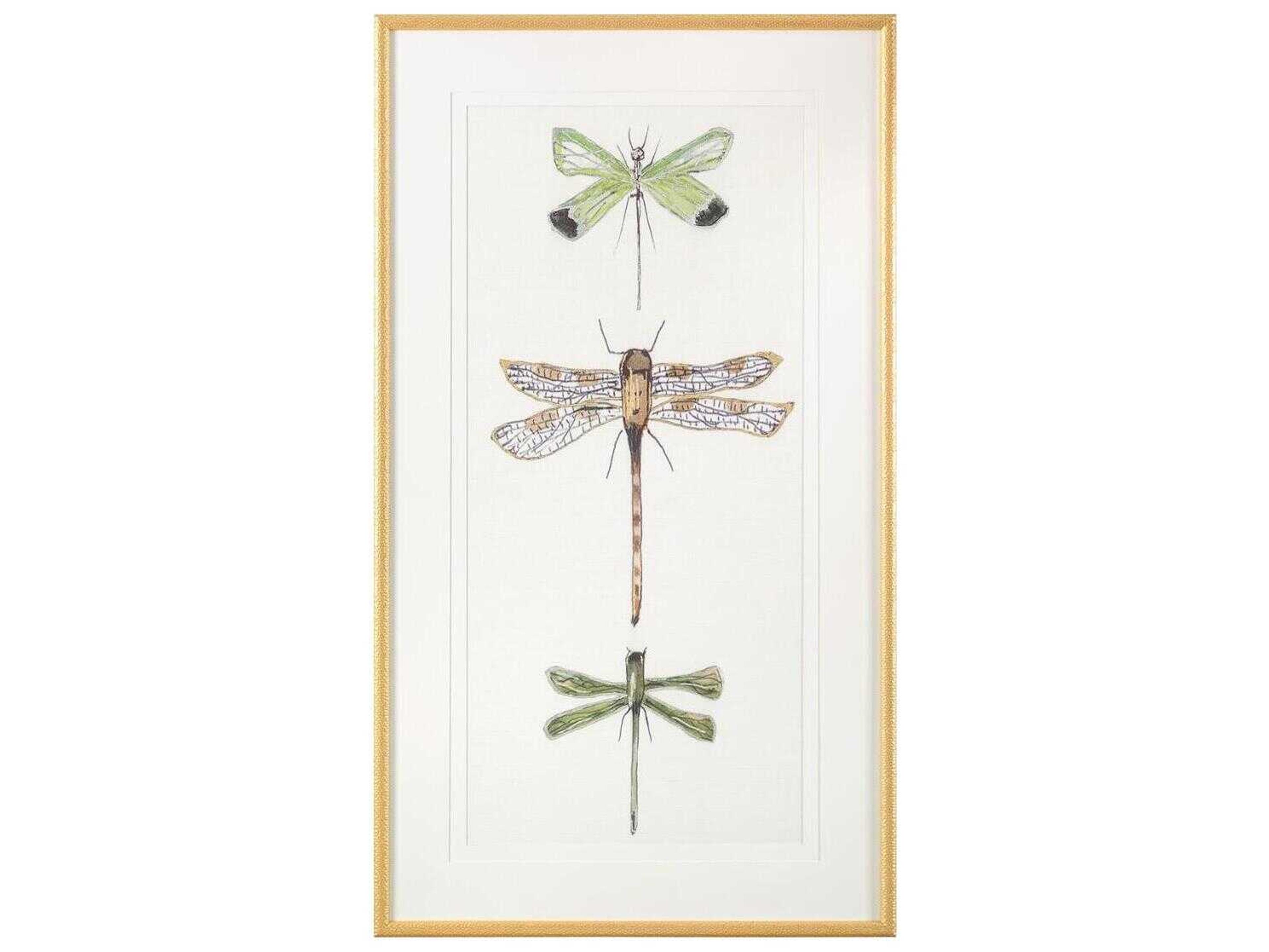 Joy Colangelo's Joyful Dragonflies-I Print / Painting