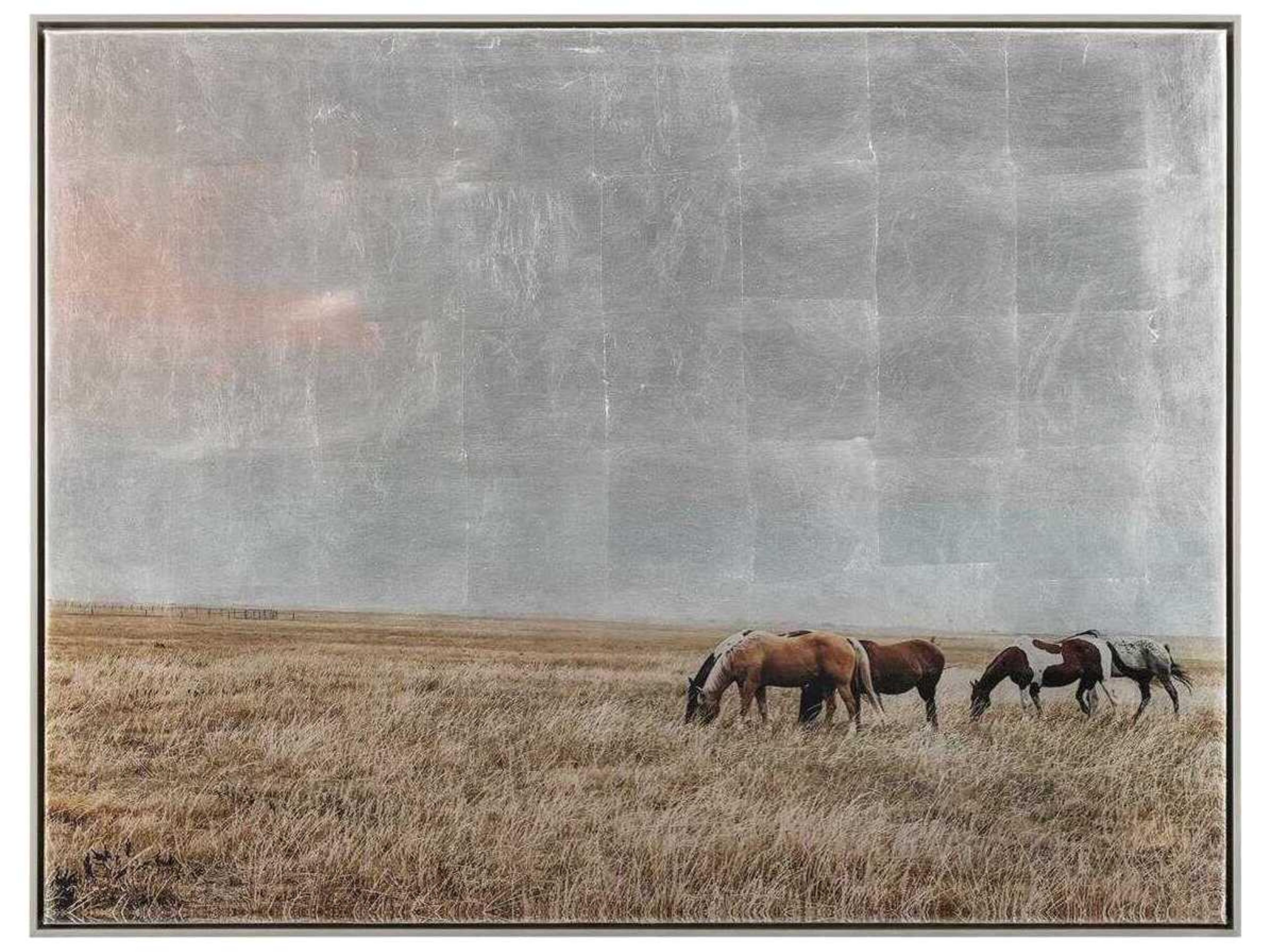 John Richard Jordan Deans' Freedom on the Range Wall Art