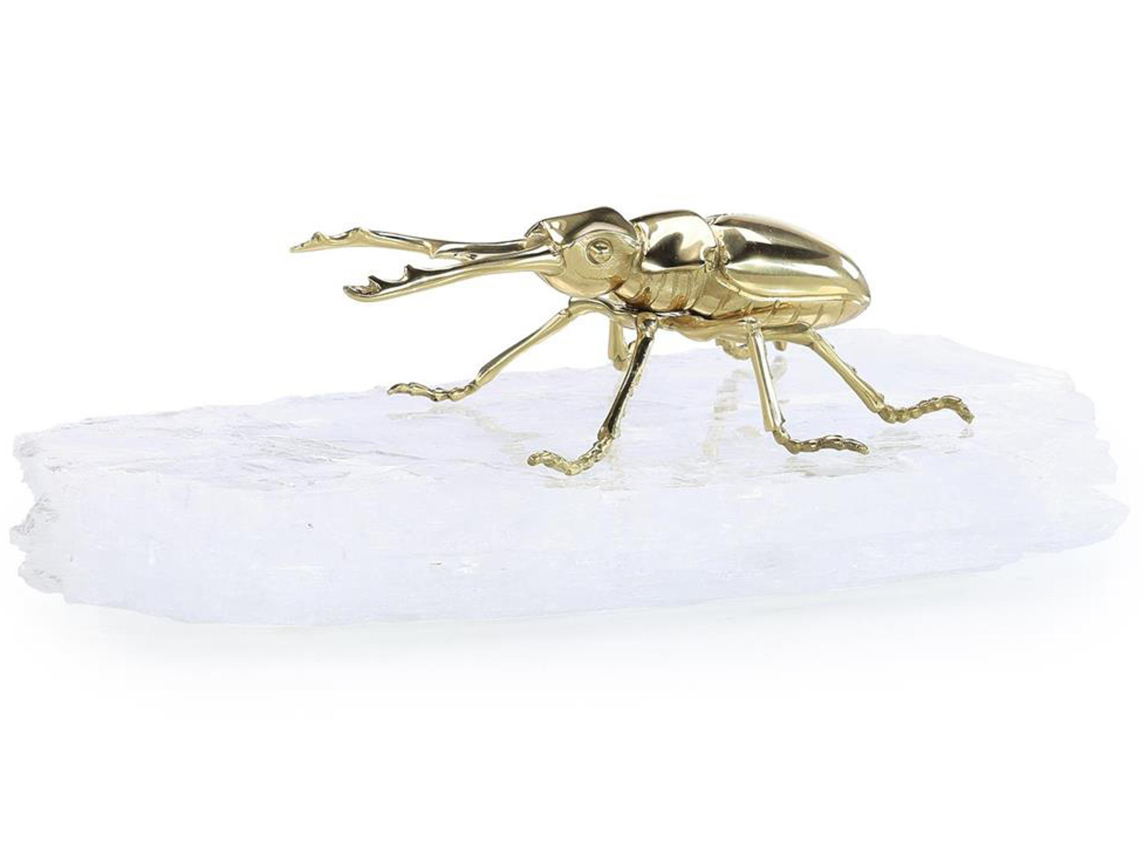 Brass Beetle on Selenite Sculpture
