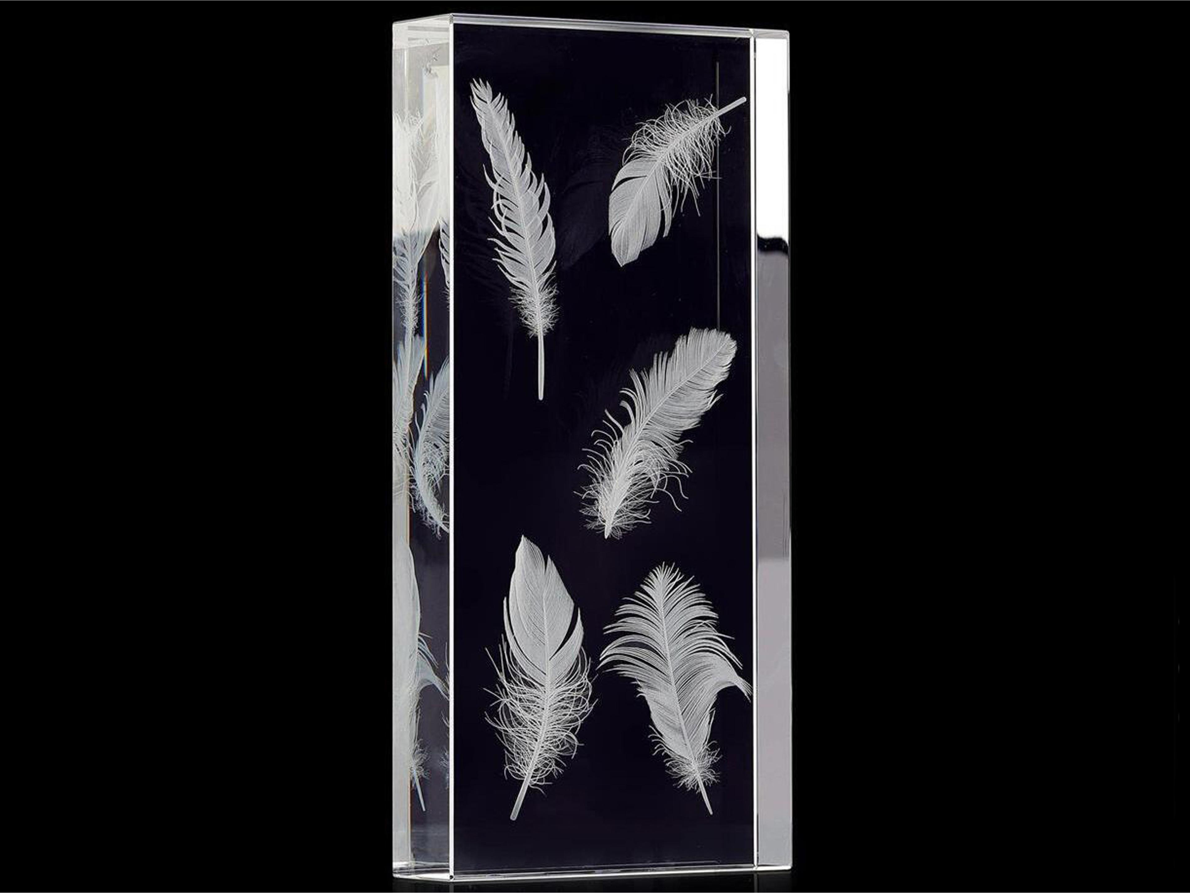 John Richard Crystal-Encased Feathers