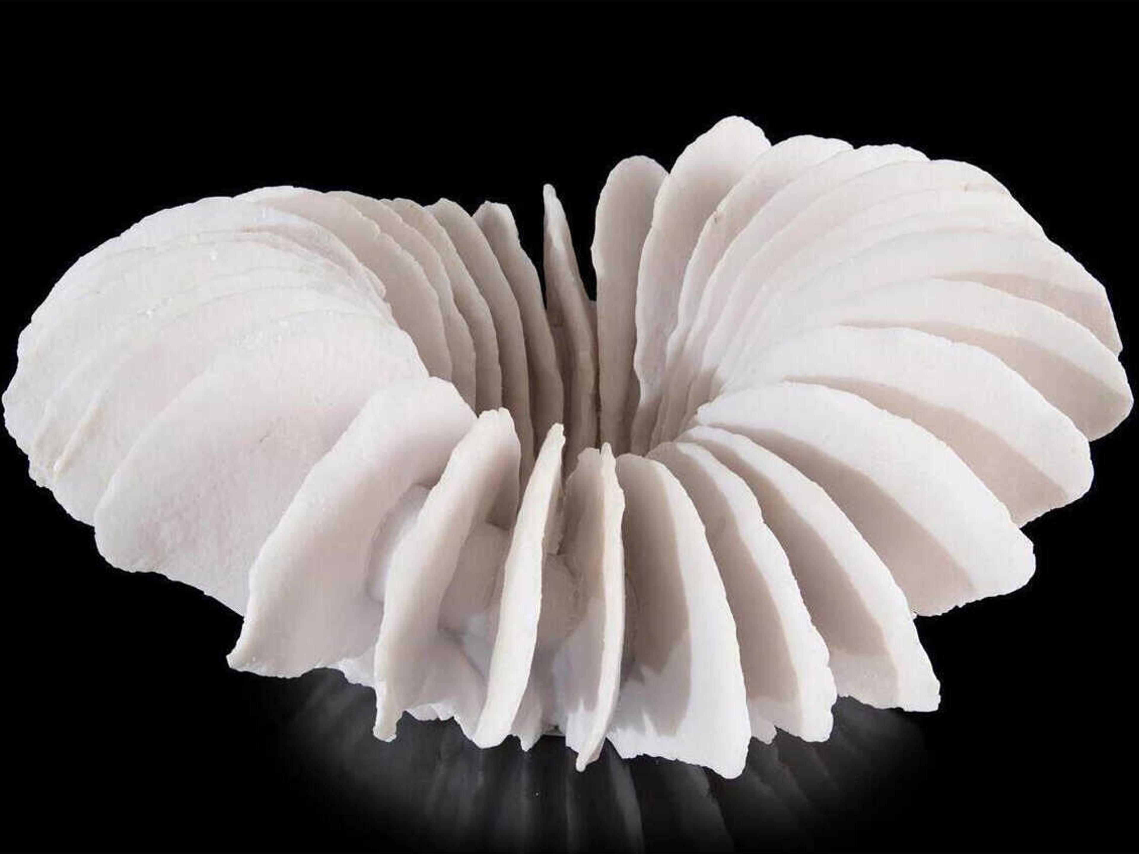 Translucent Ridges Bowl