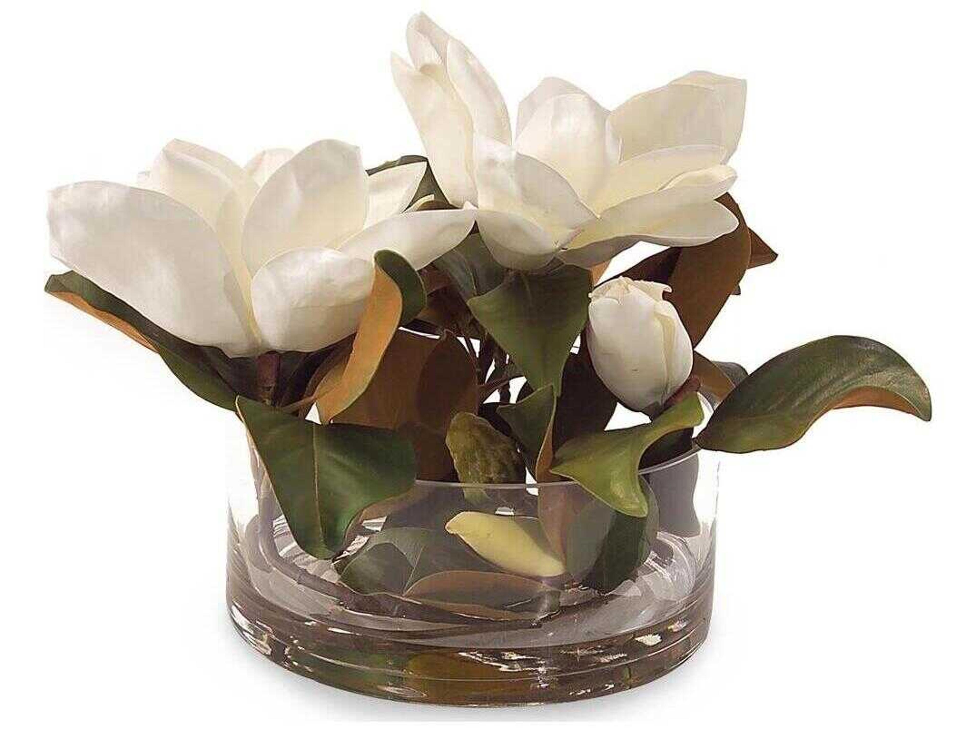 John Richard Magnolia Grandiflora