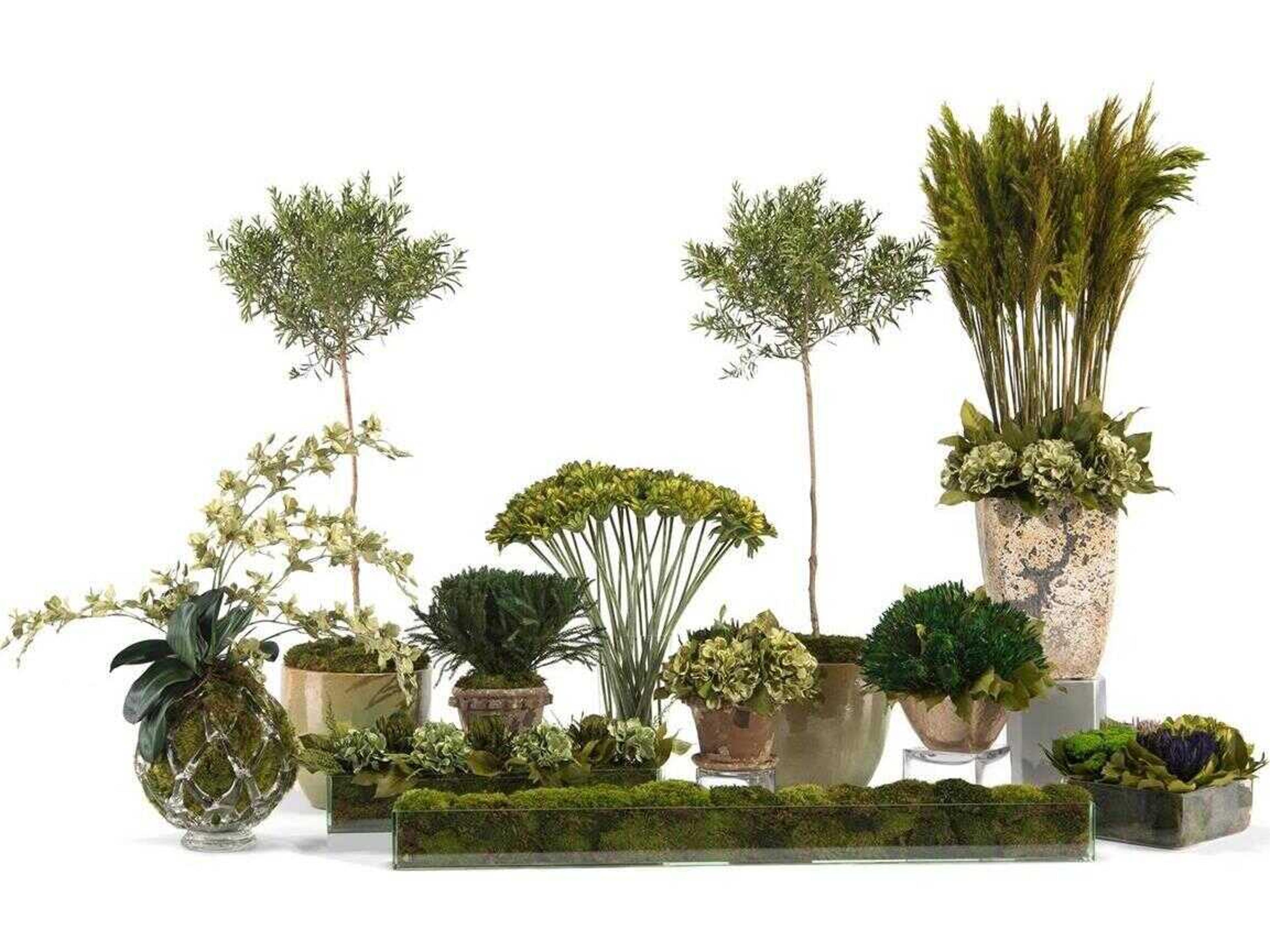 John Richard Clear Emeralds Botanical