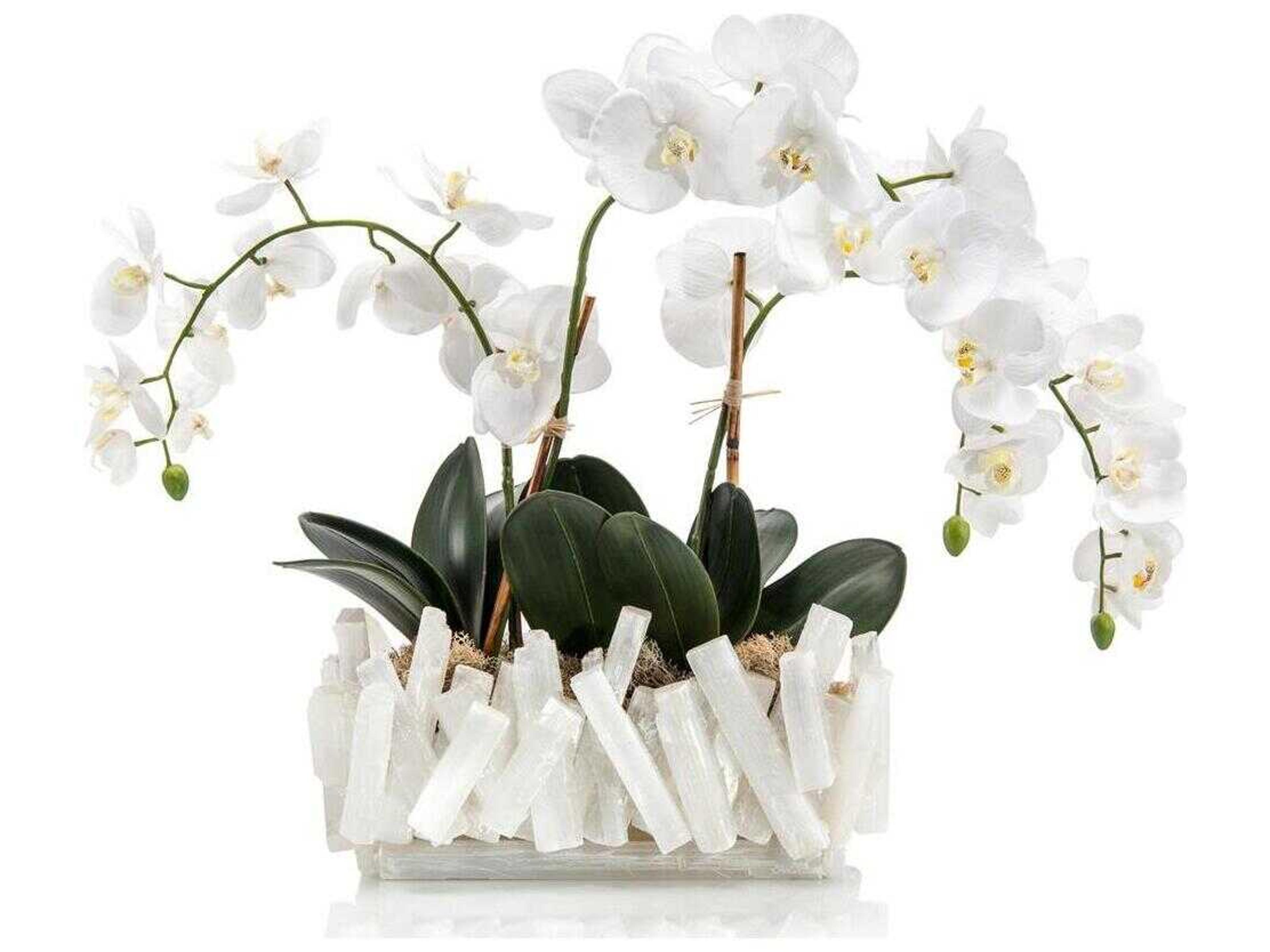 John Richard Selenite Orchids