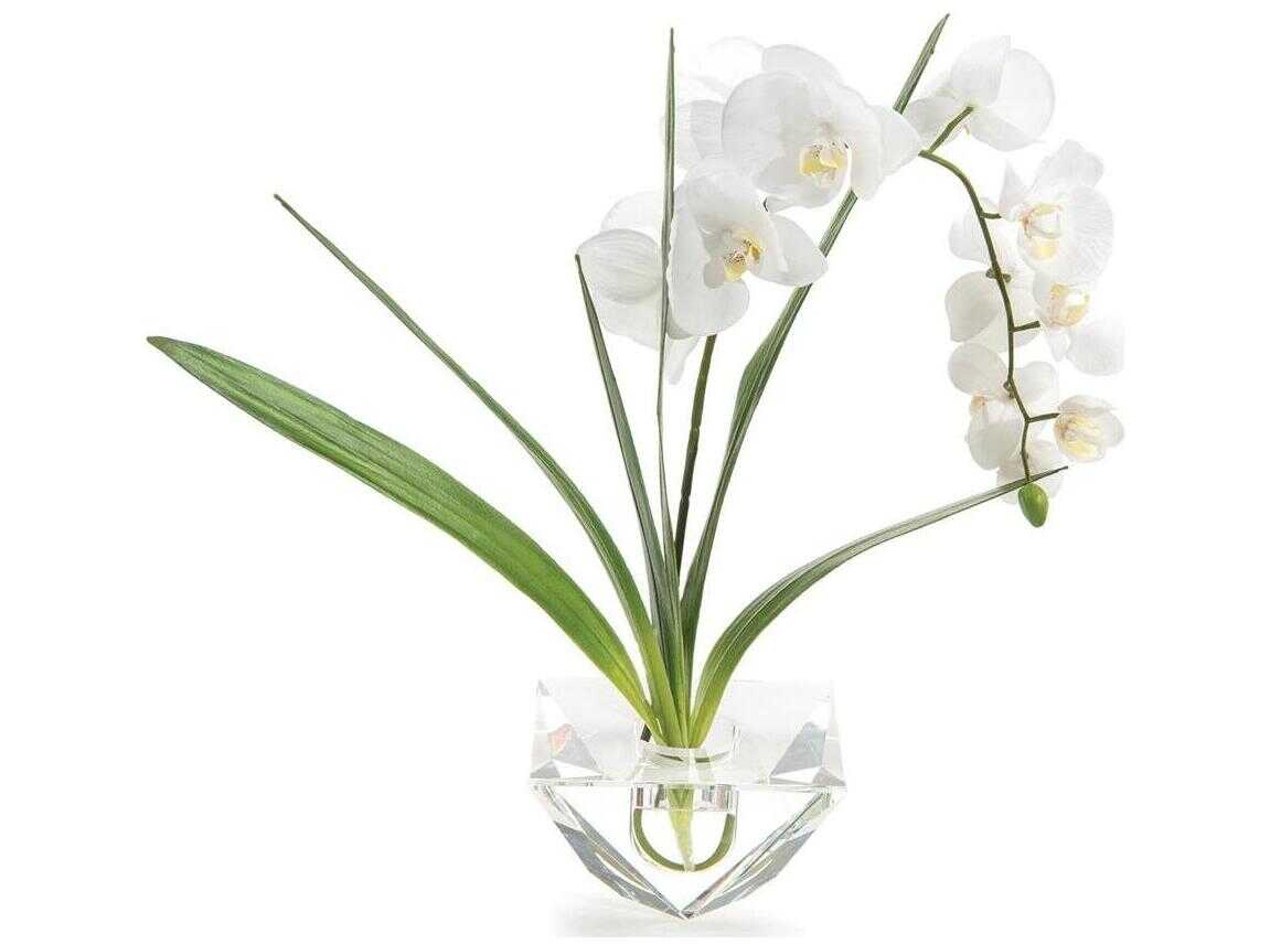 Cut Crystal Botanical