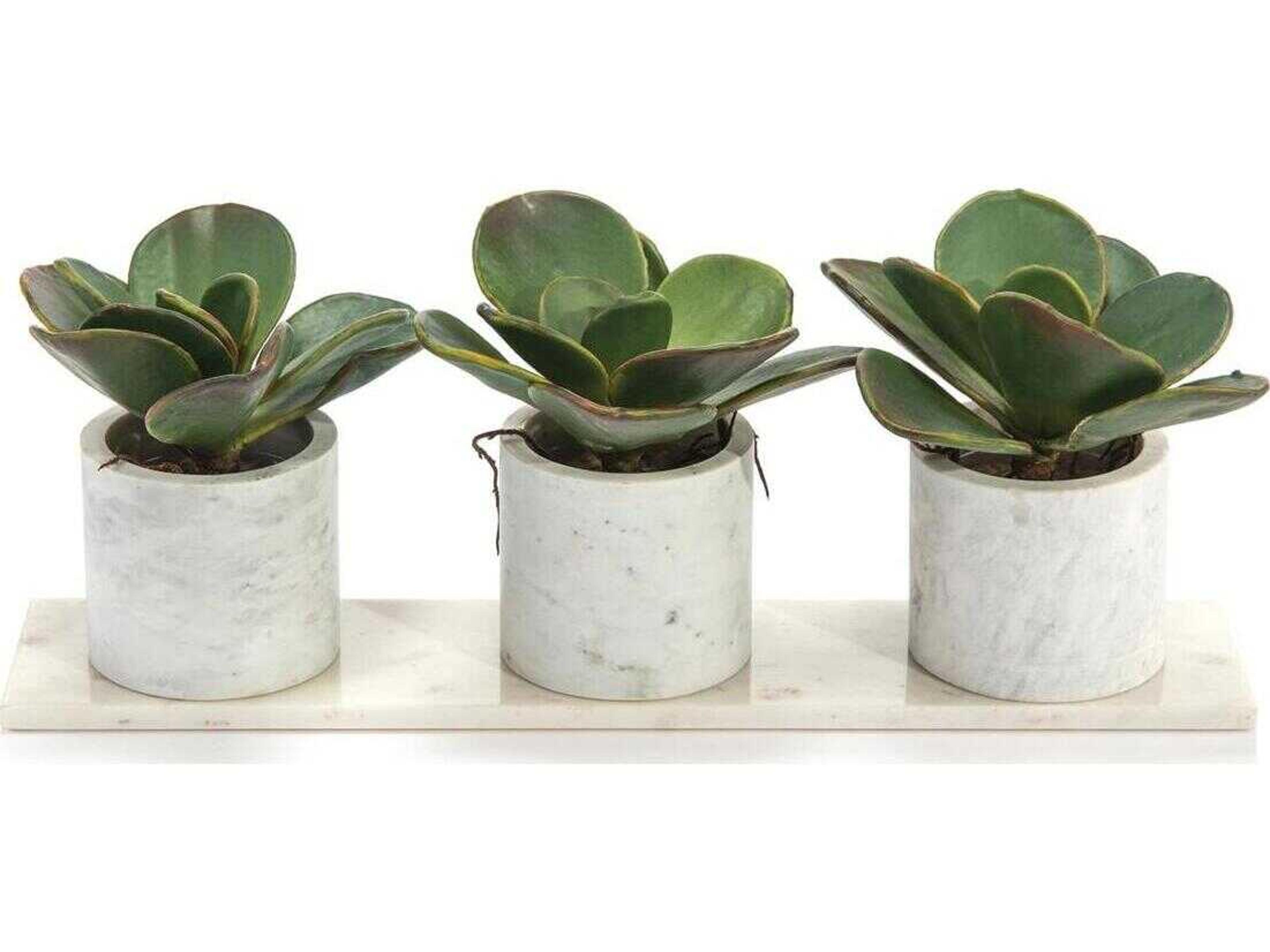 John Richard Marble Succulents
