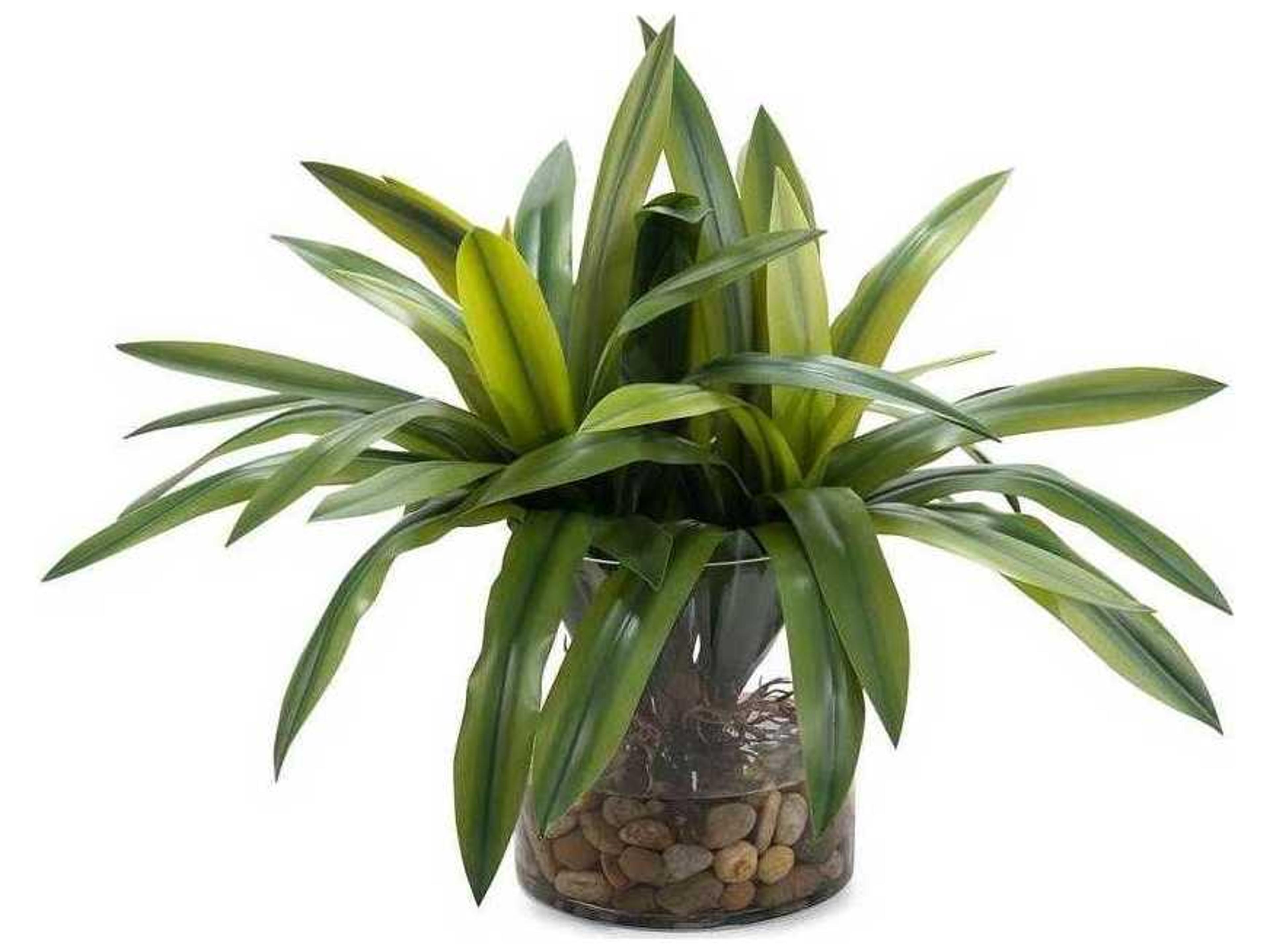 John Richard Real Touch Yucca