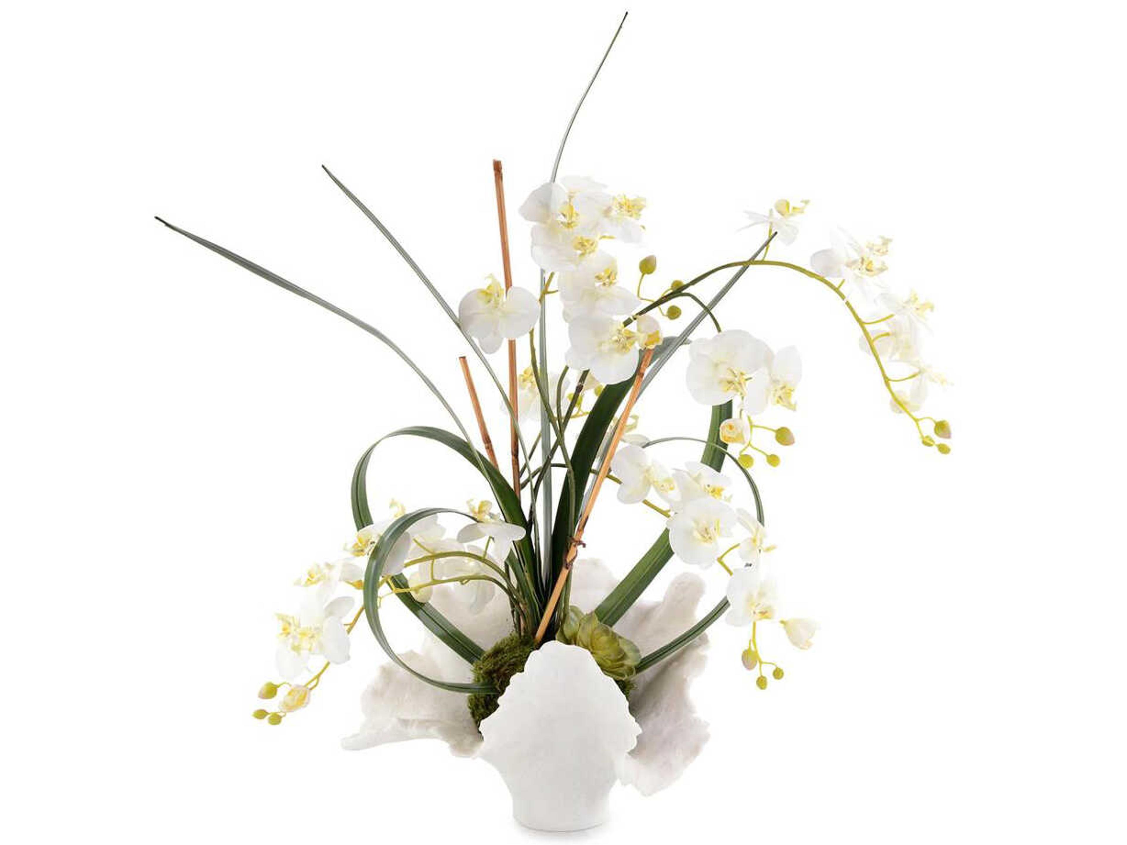 John Richard White Orchids