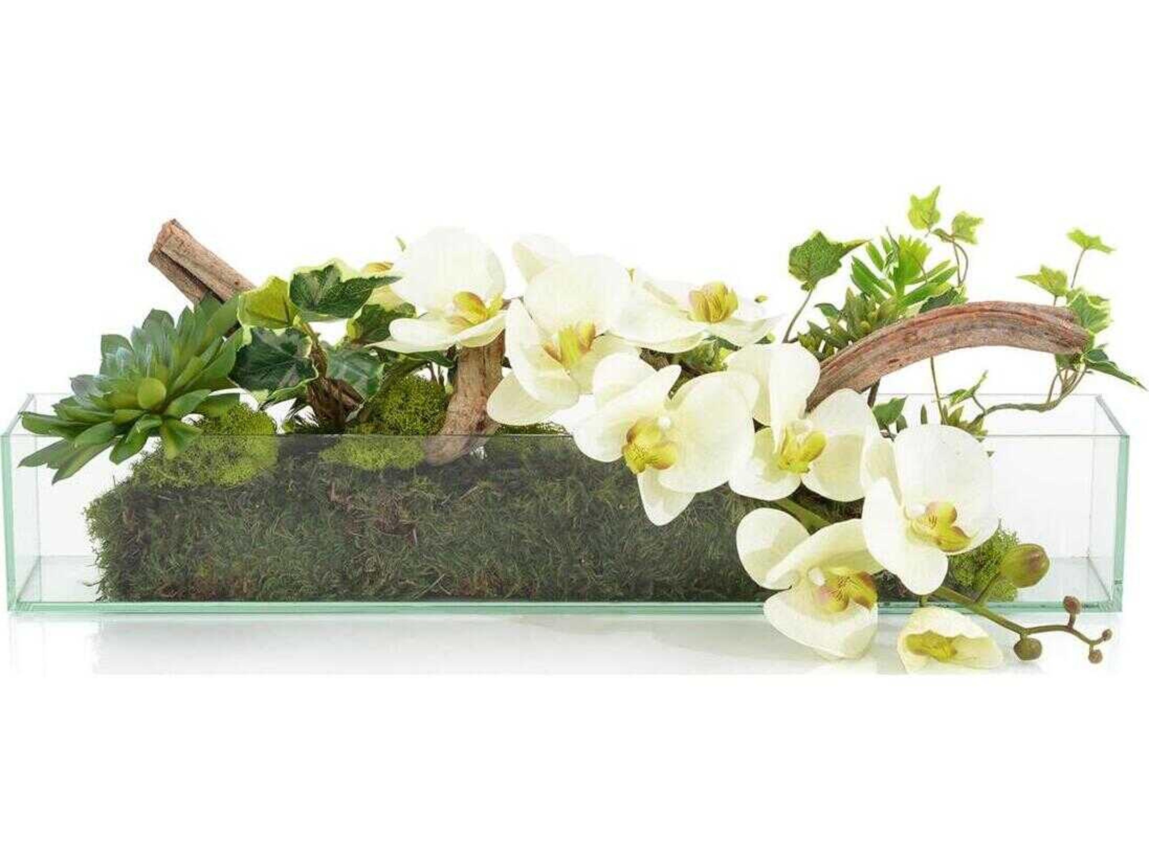 John Richard Woodland Wonders Botanical