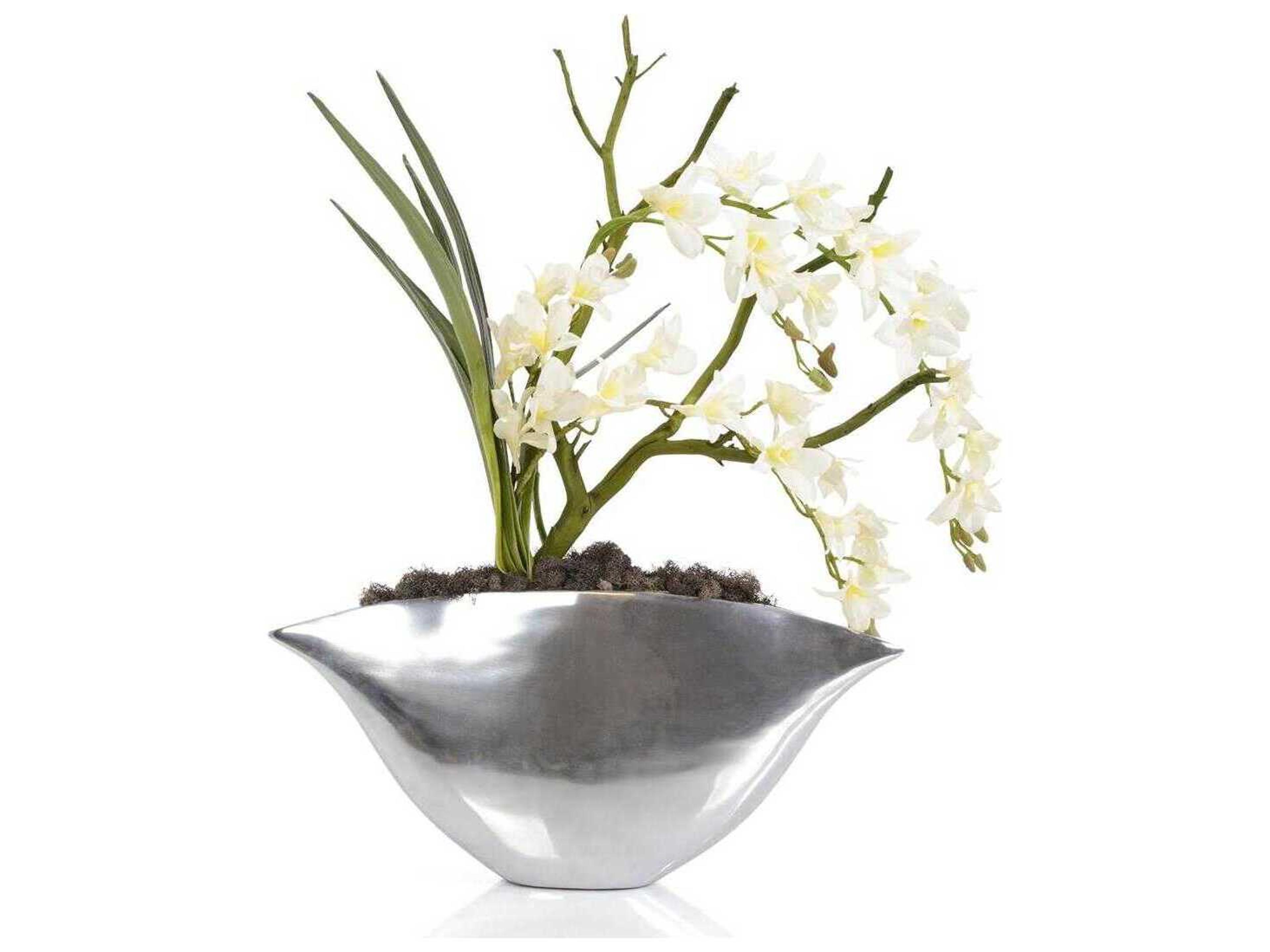 John Richard Silver Dendrobiums Botanical