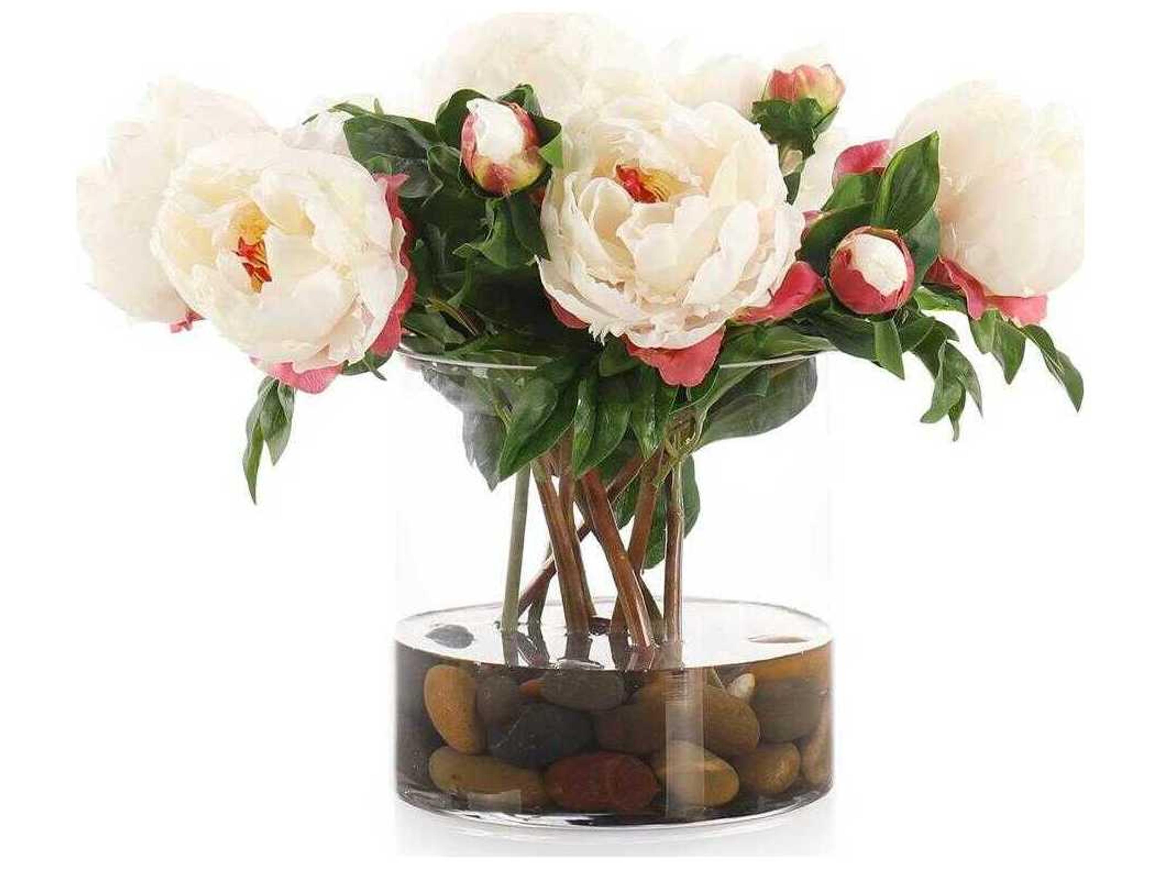 John Richard Shirley Temple Botanical