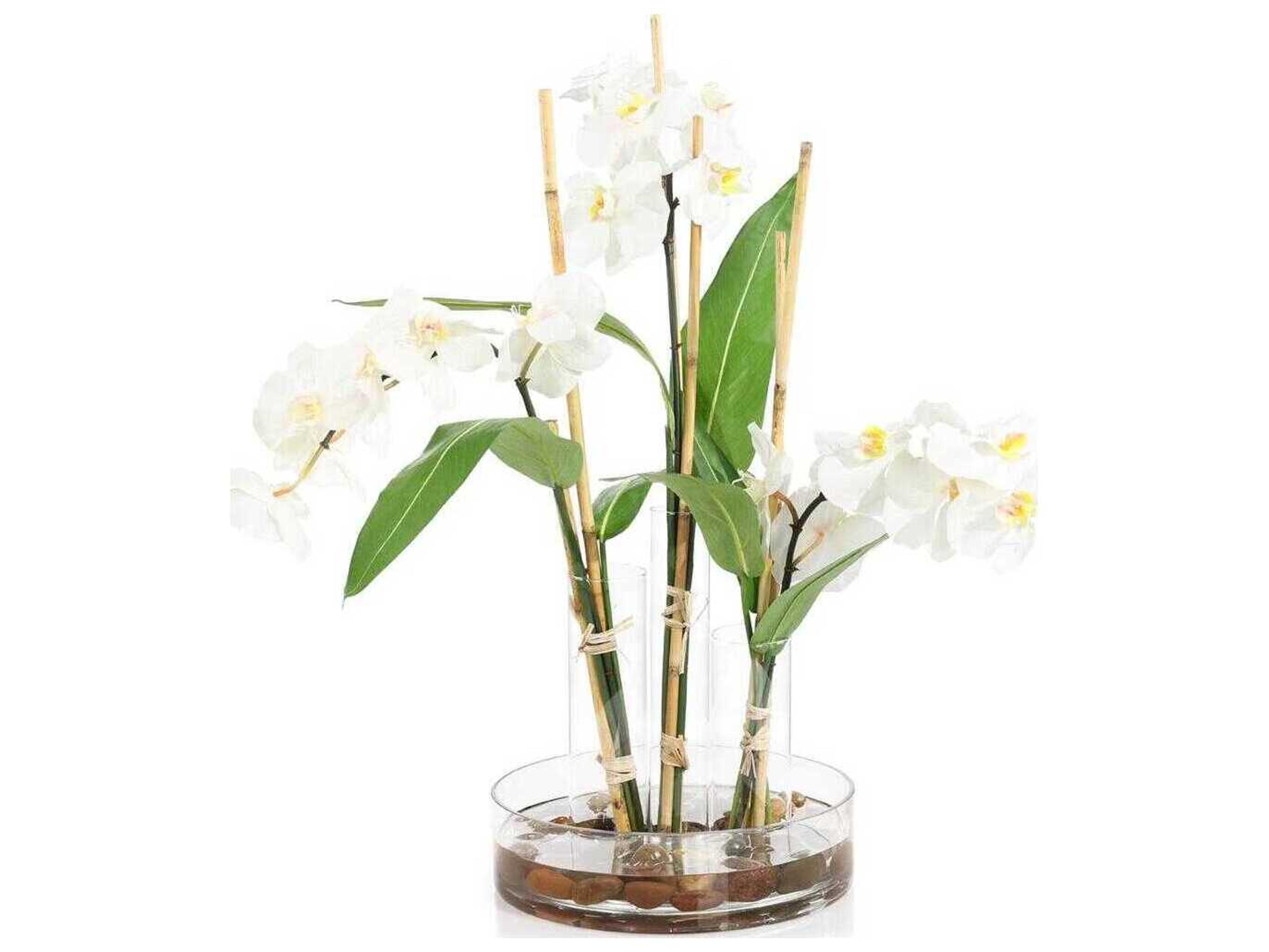 John Richard Changing Florals-3 Botanical