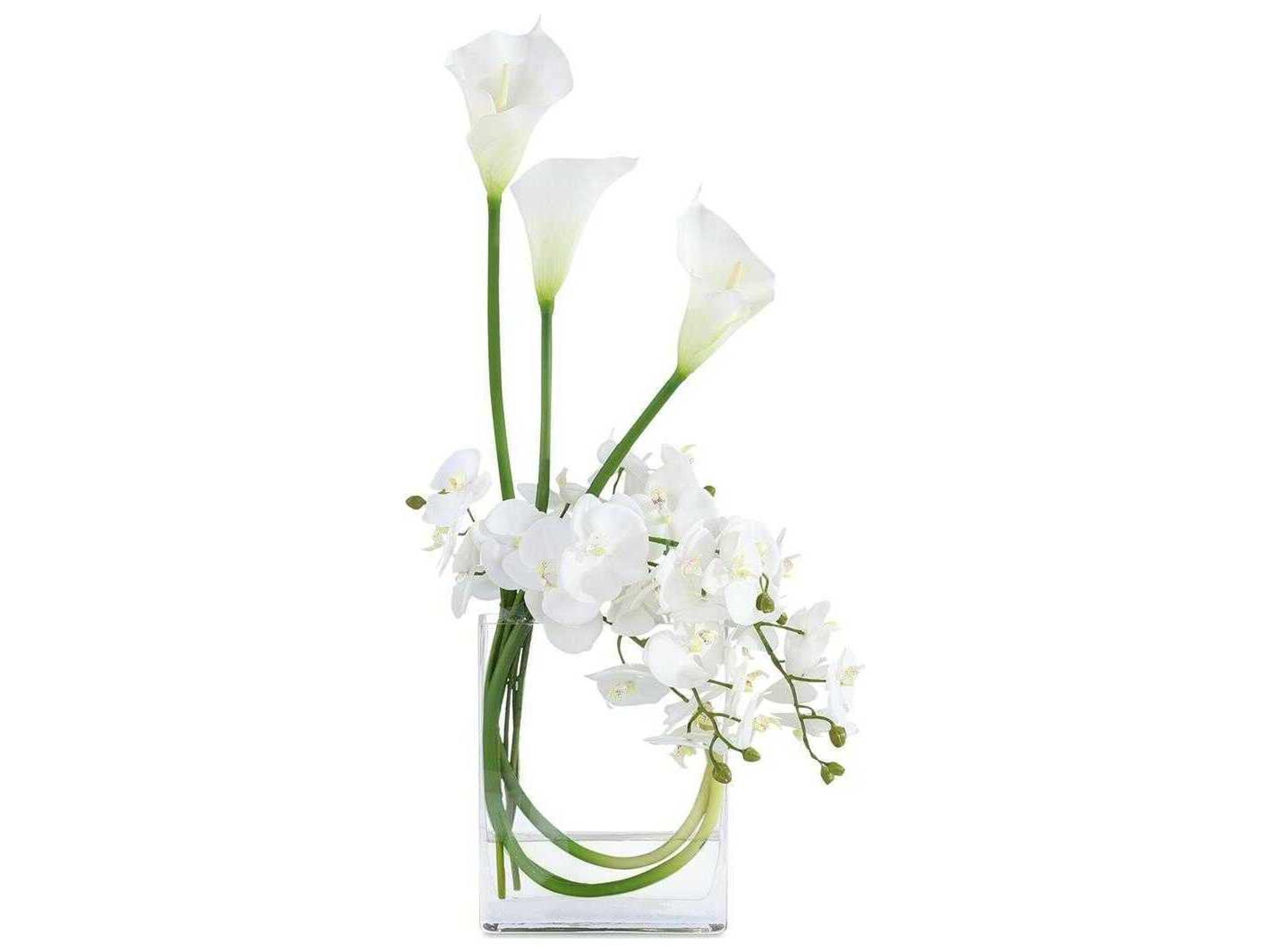 John Richard Snow White Blooms Botanical