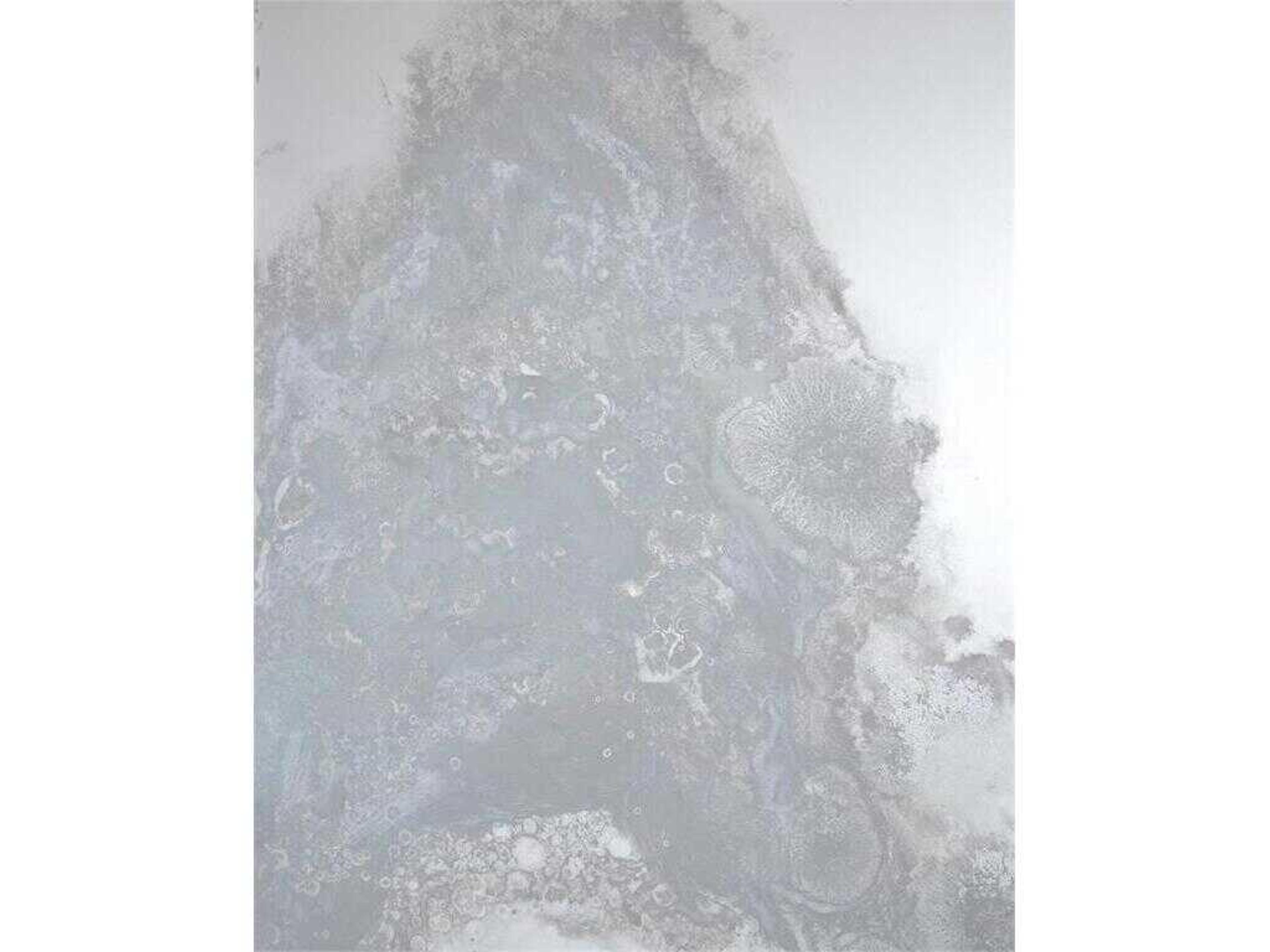 John Richard Meuse Antique Mirror Panels Set of 4