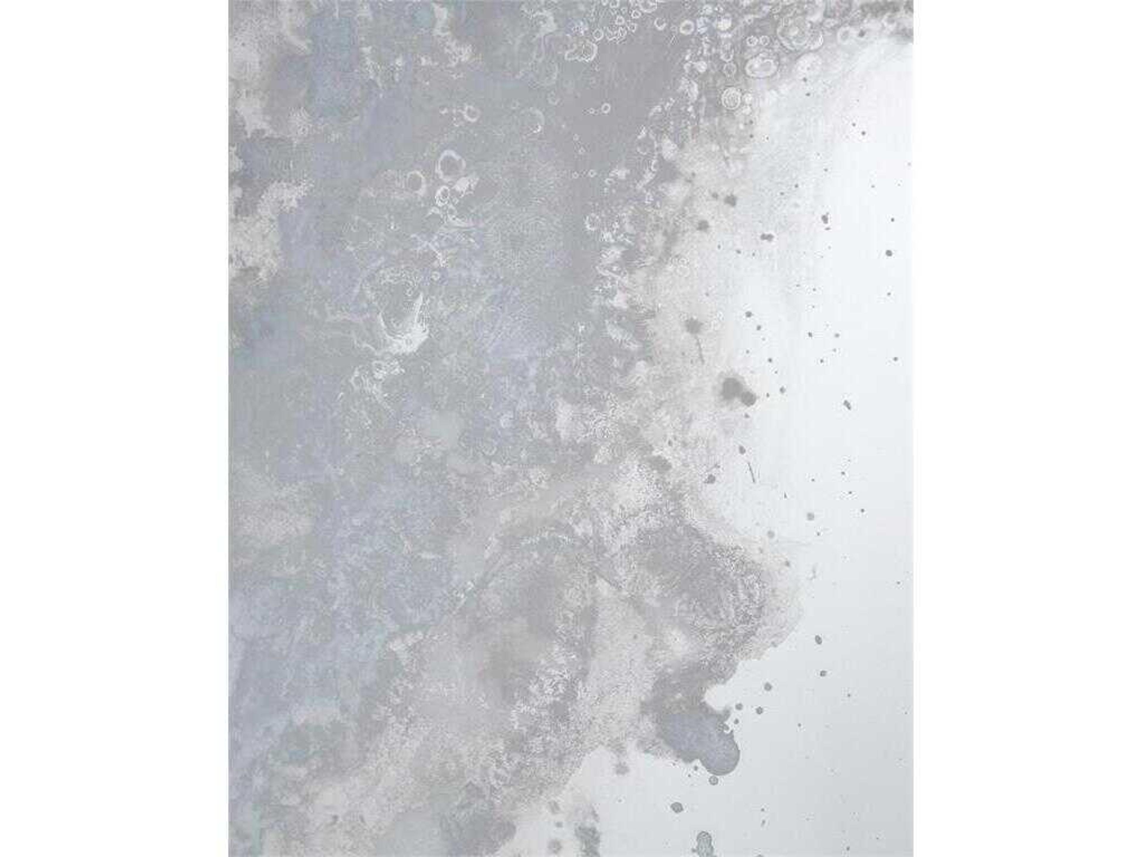 John Richard Meuse Antique Mirror Panels Set of 4