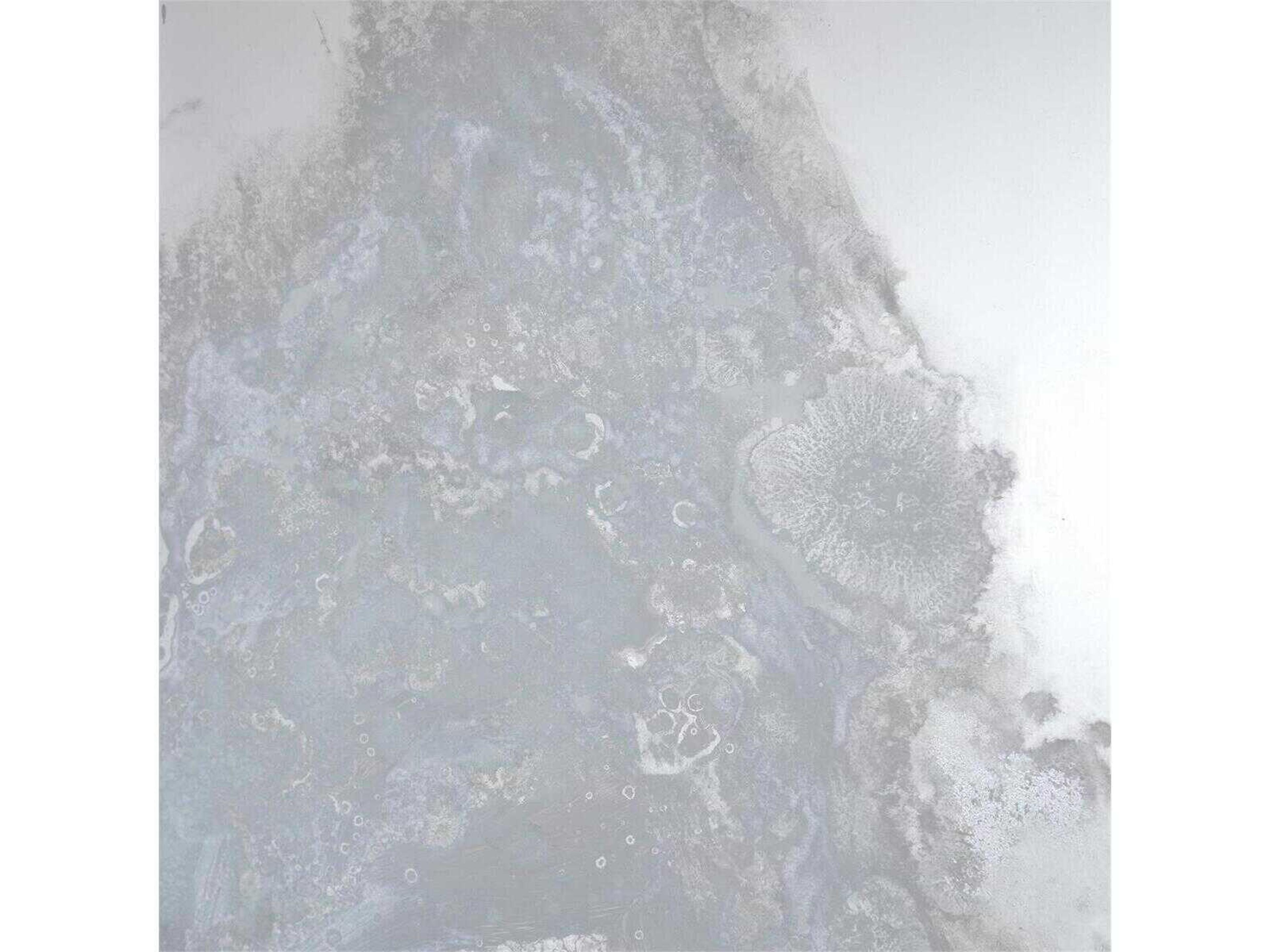 John Richard Meuse Antique Mirror Panels Set of 4