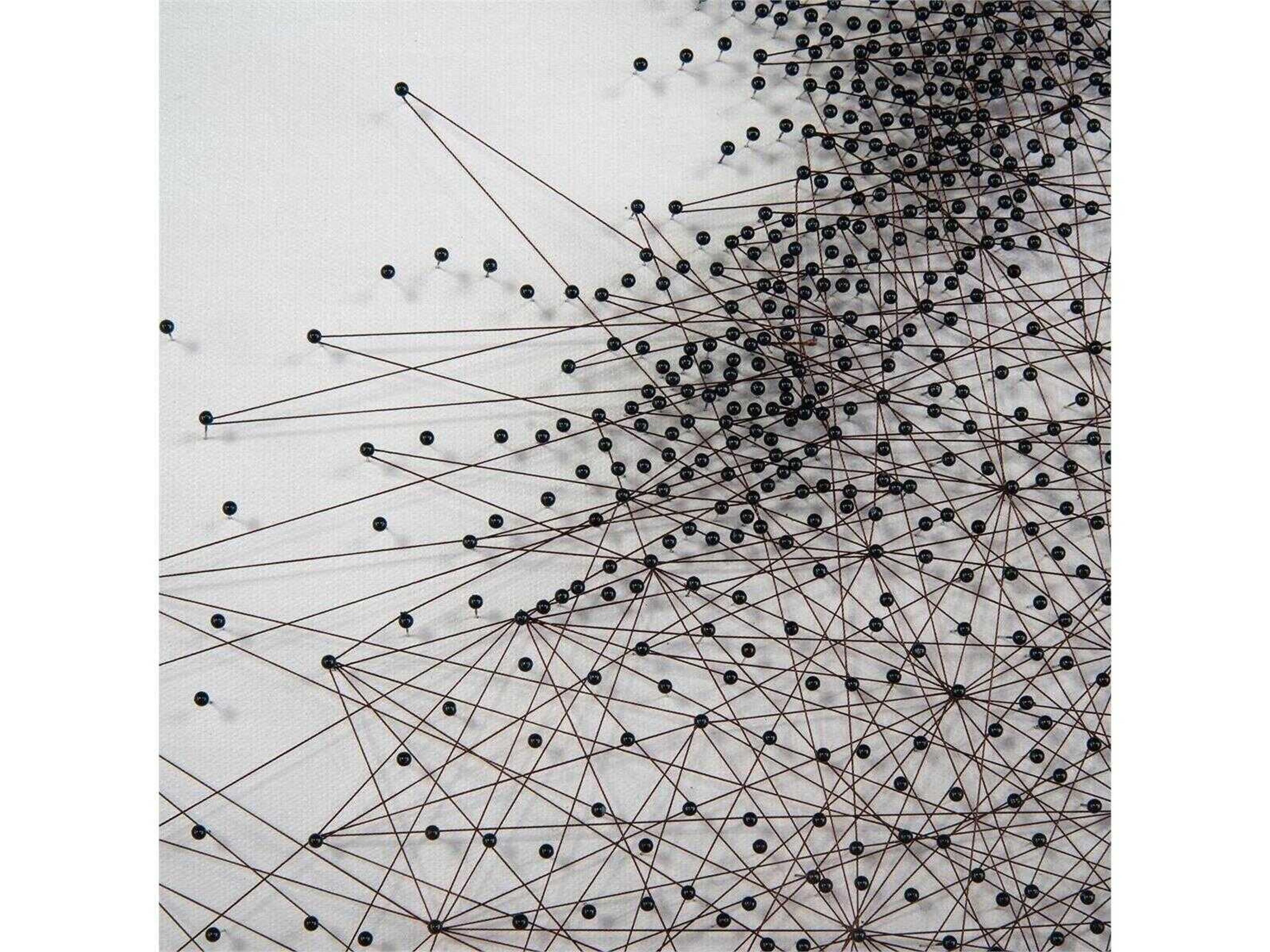 John Richard Tony Fey's Sprinting Stallion Canvas Wall Art