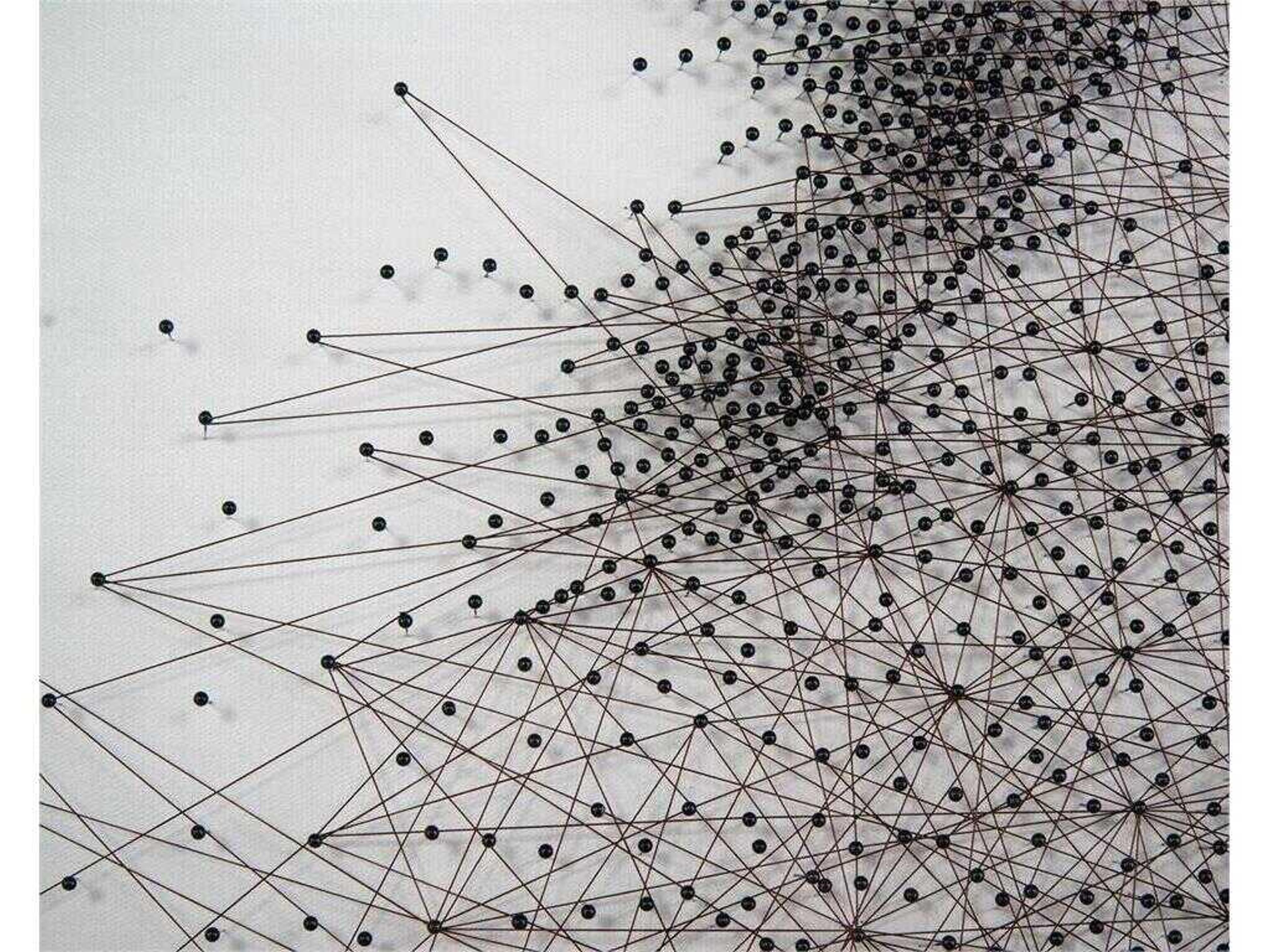 John Richard Tony Fey's Sprinting Stallion Canvas Wall Art