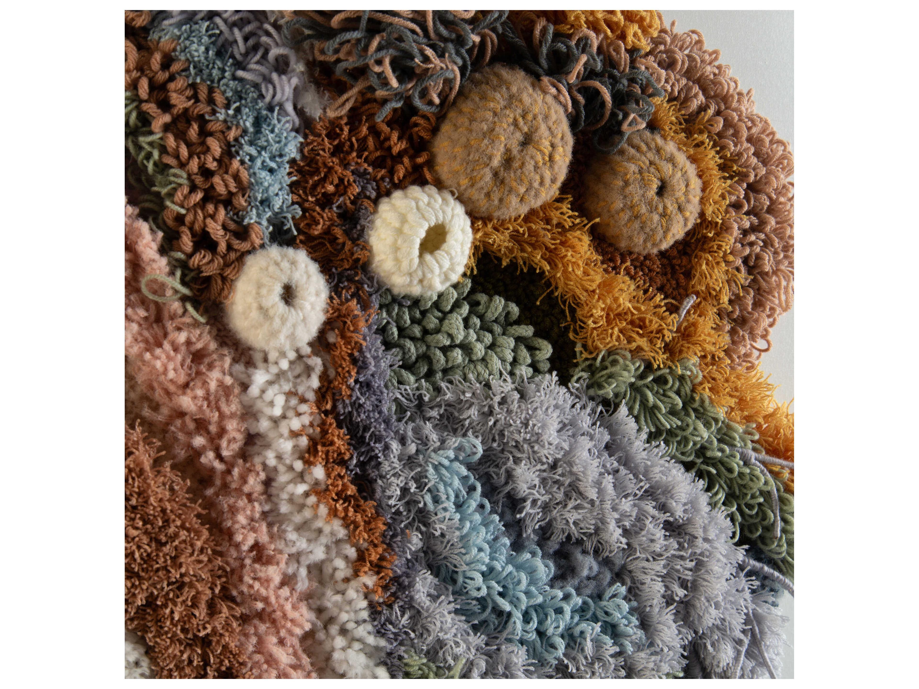 John Richard Tony Fey's Exotic Plumage Shadow Box