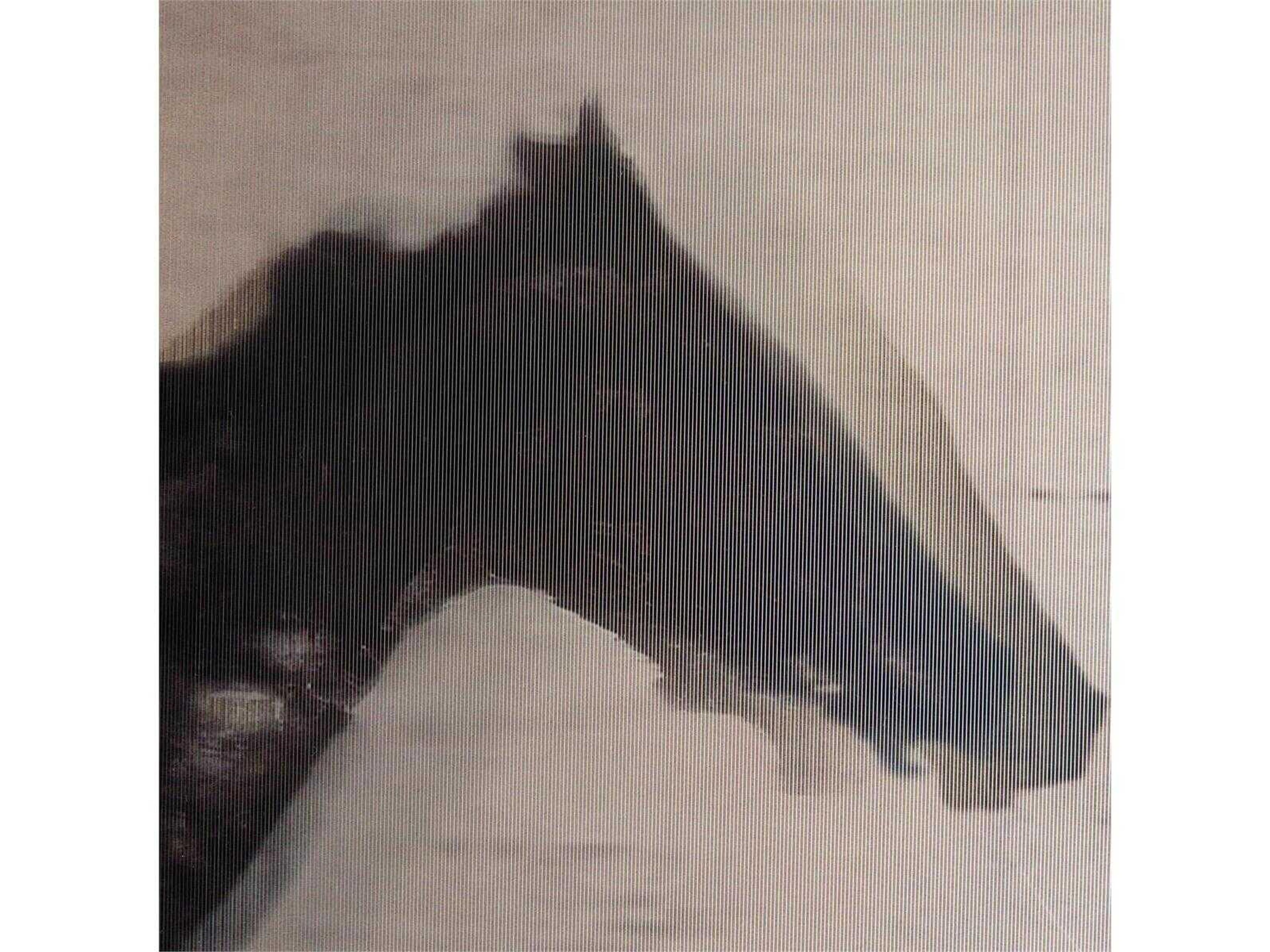 John Richard Tony Fey's Race to the Finish Wall Art