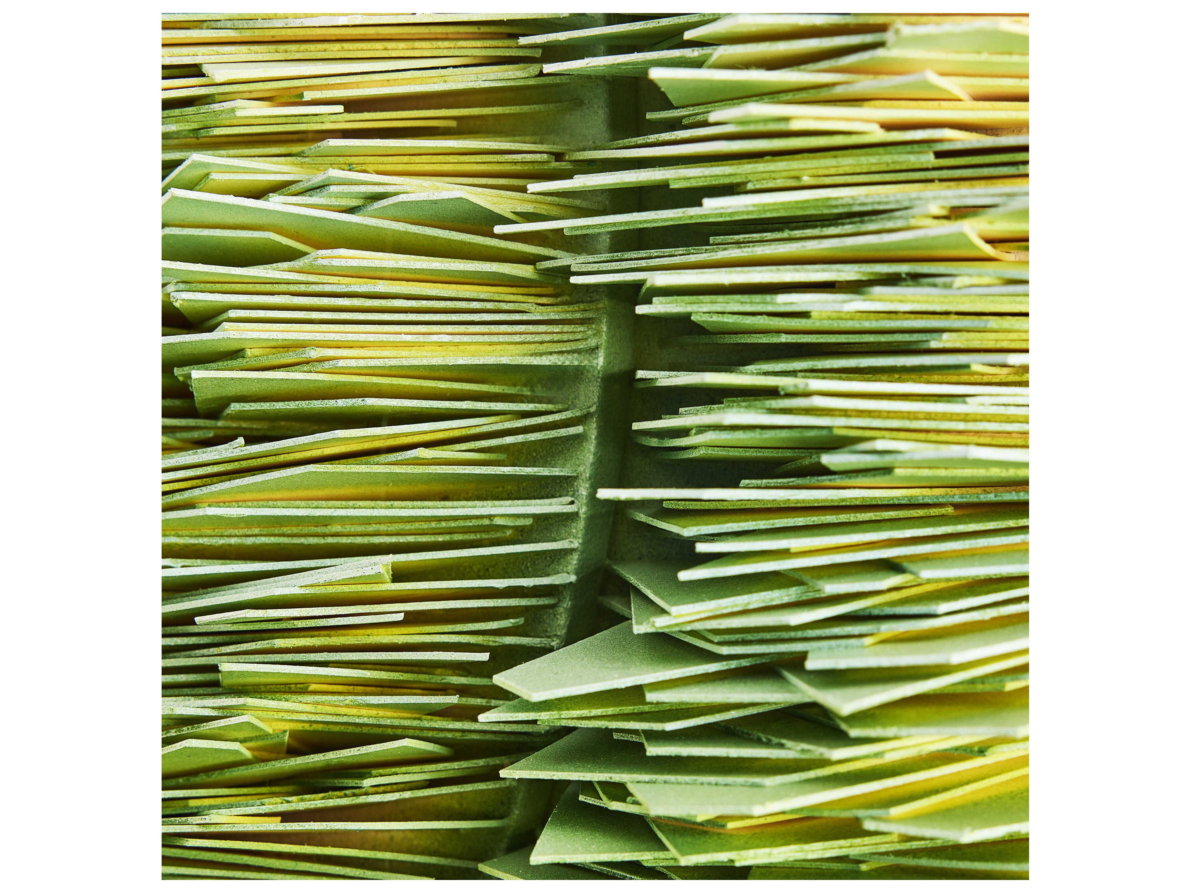 John Richard Tony Fey's Rejuvenation Wall Art