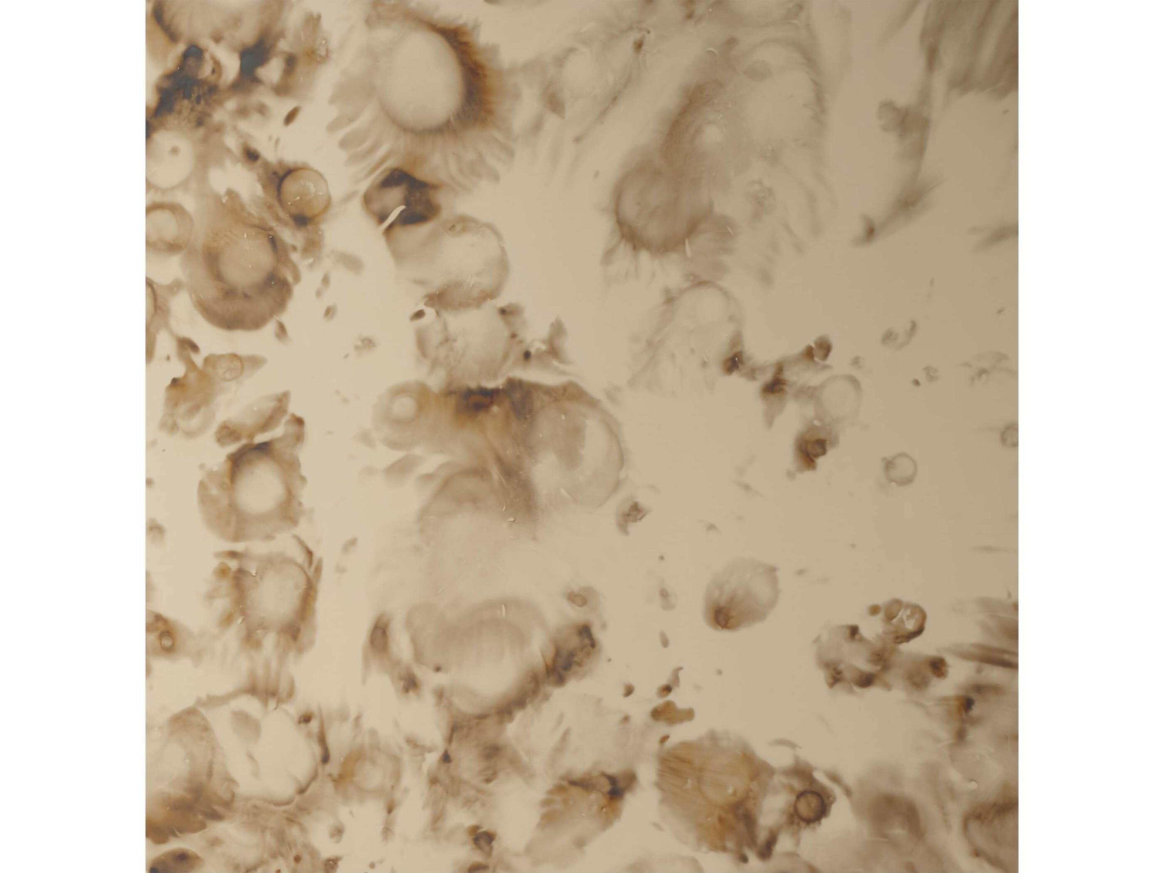 Jamie Young Versailles Antique Brass Wall Mirror Rectangular