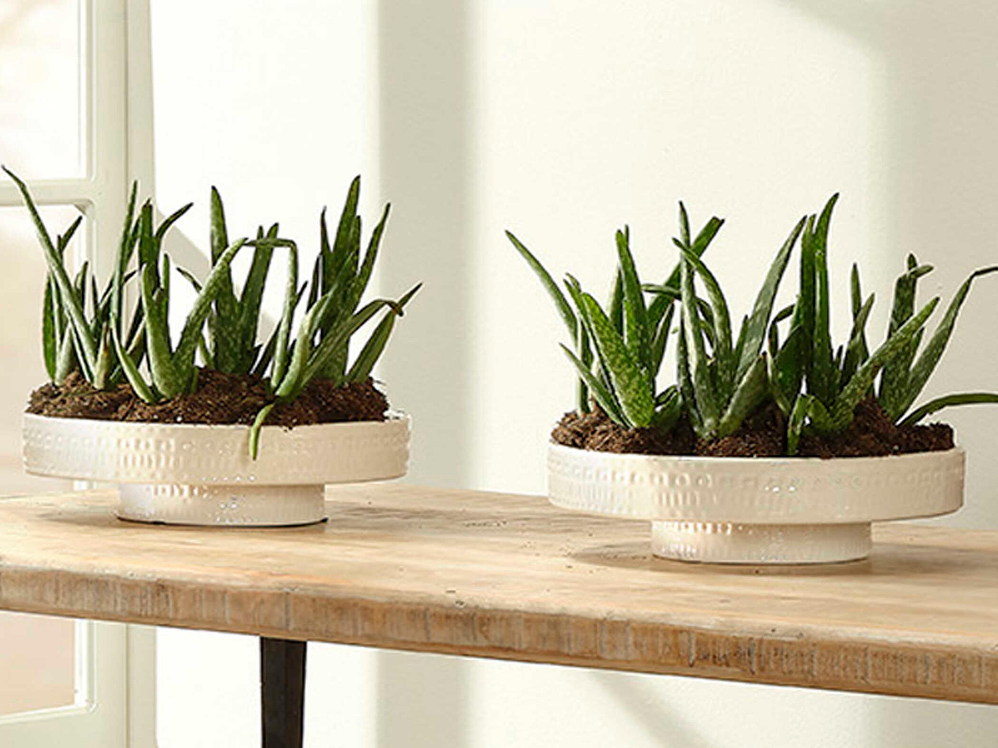 Jamie Young Coco White Pedestal