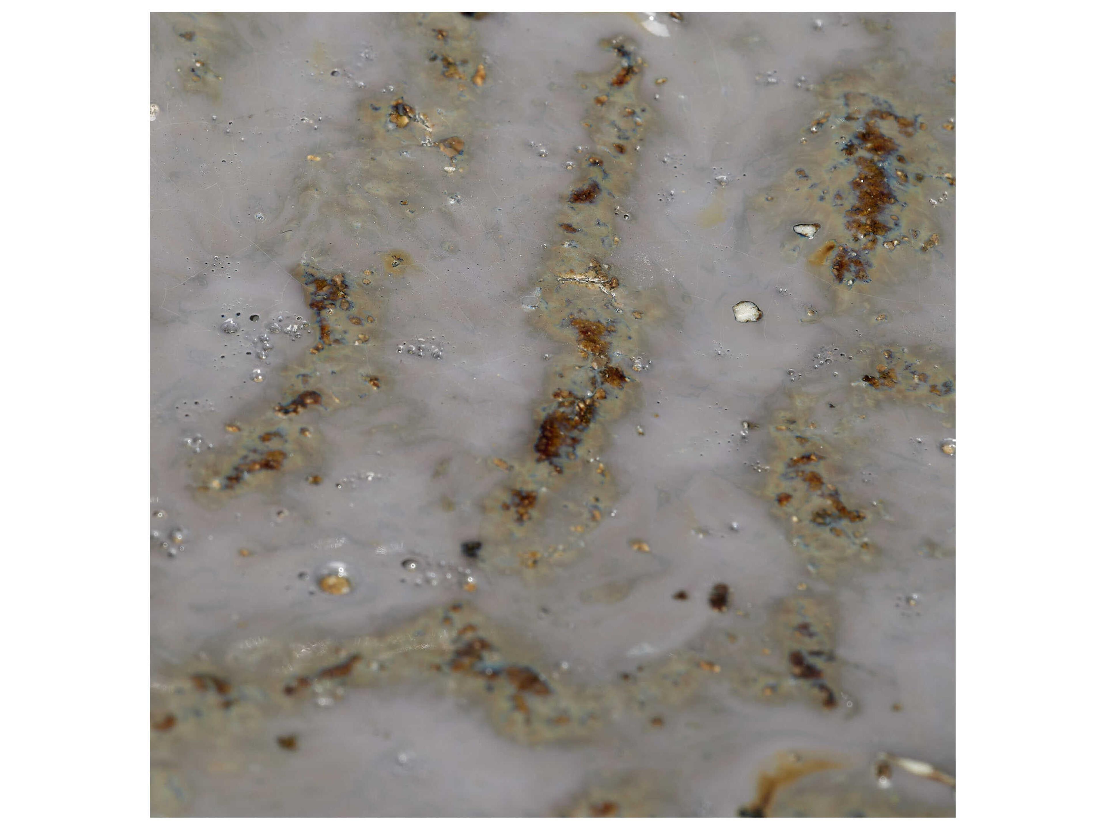 Jamie Young Crustacean Grey Decorative Bowl