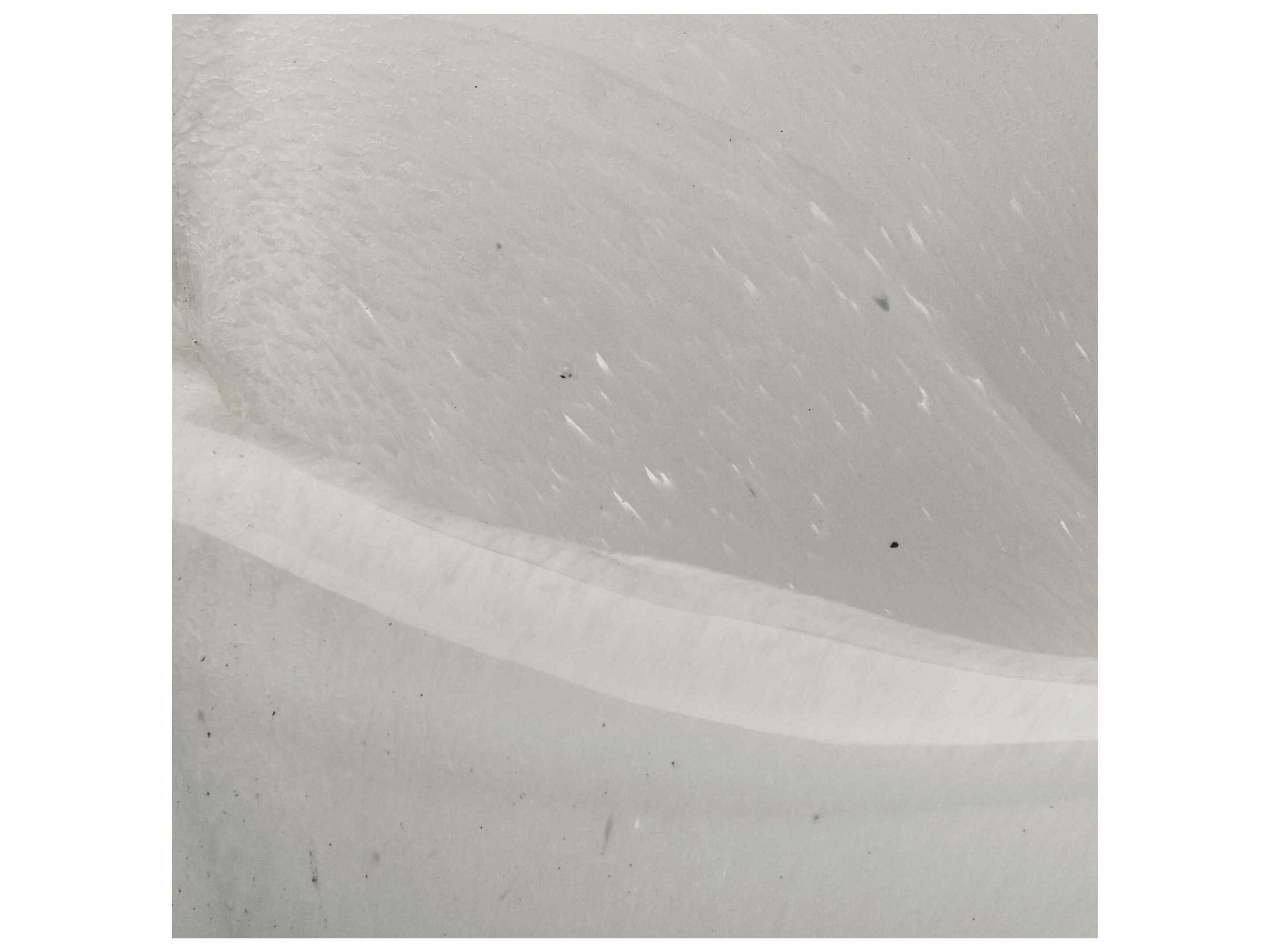 Jamie Young White Triton Shell