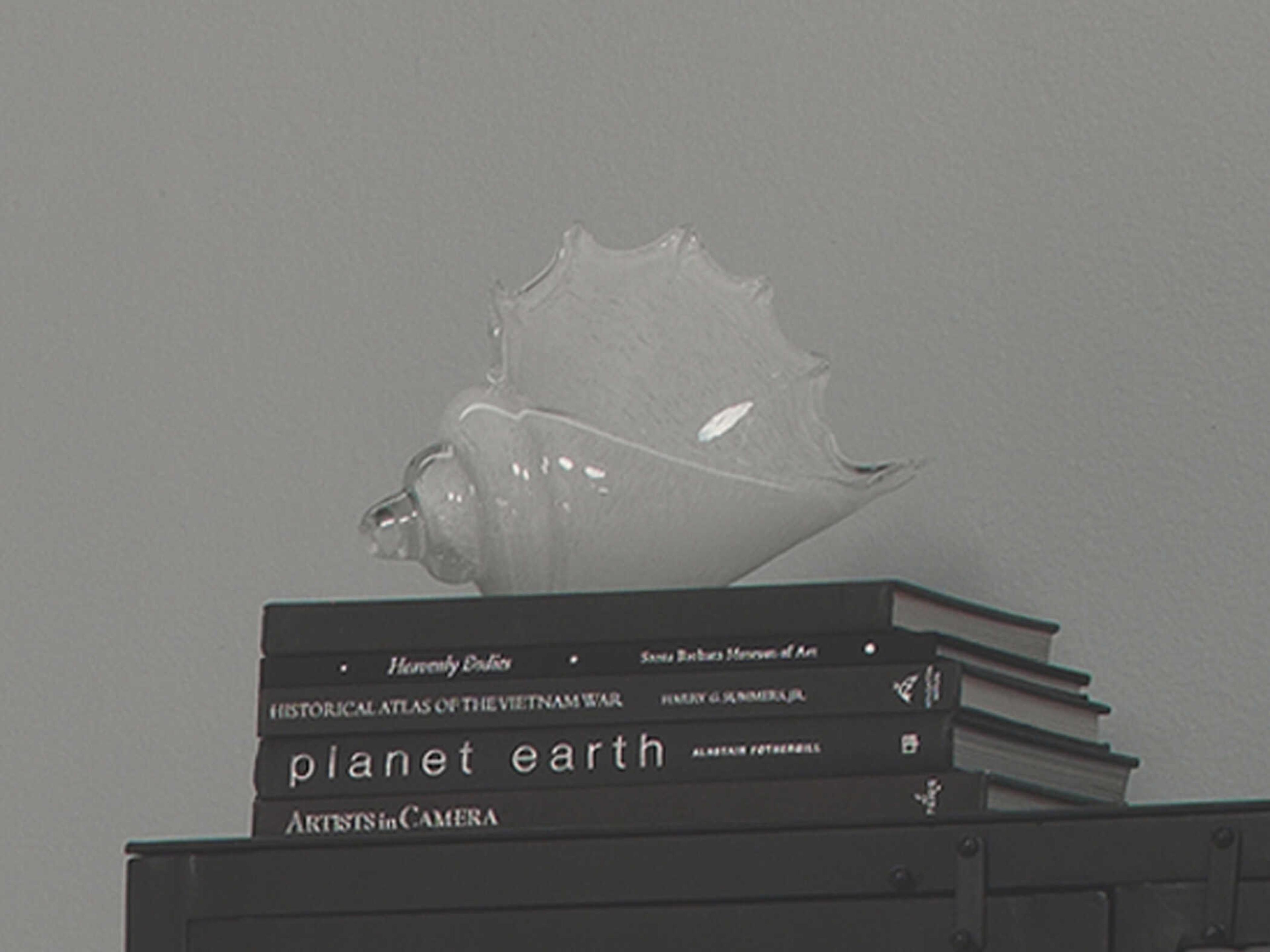 Jamie Young White Triton Shell