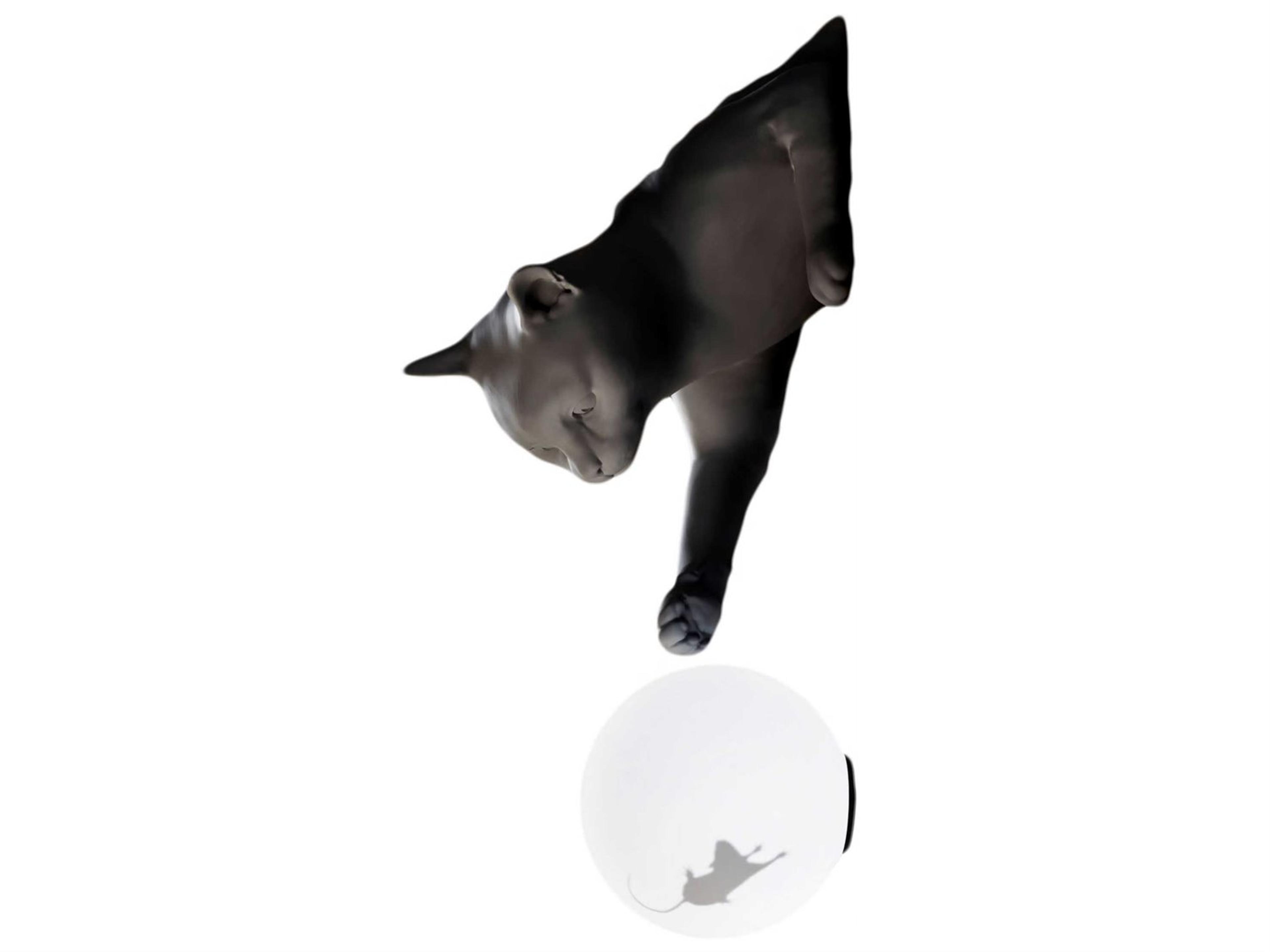 Maoo Wall Sconce with Black Cat Playful Modern Light