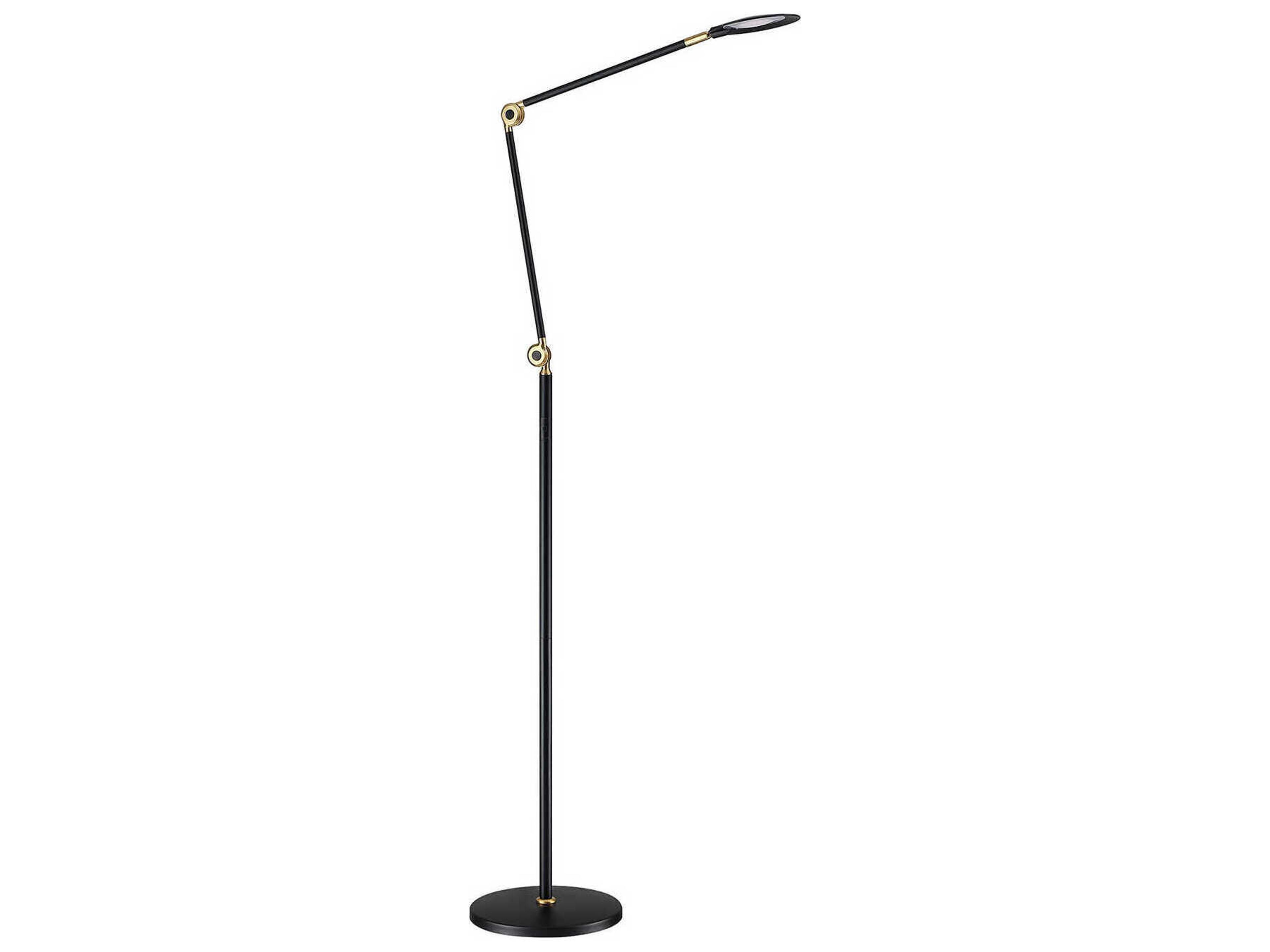 Ican Black Brass Floor Lamp