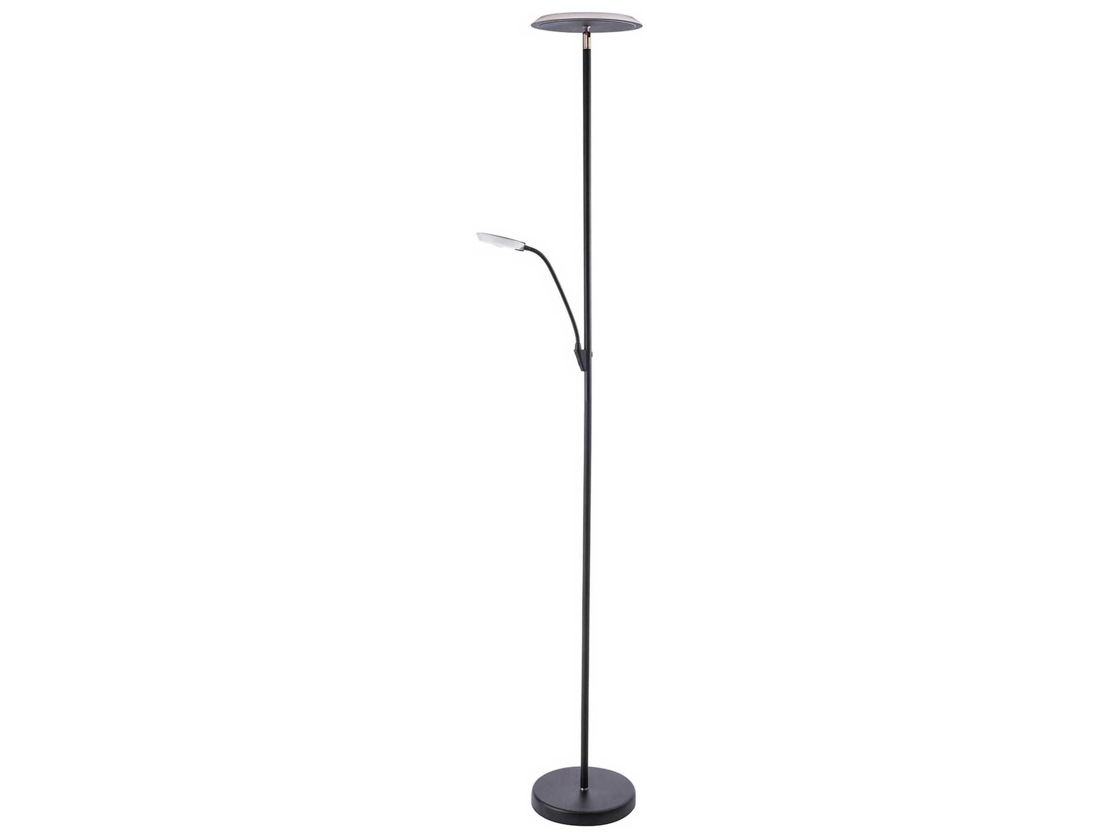 Iggy Black LED Floor Lamp