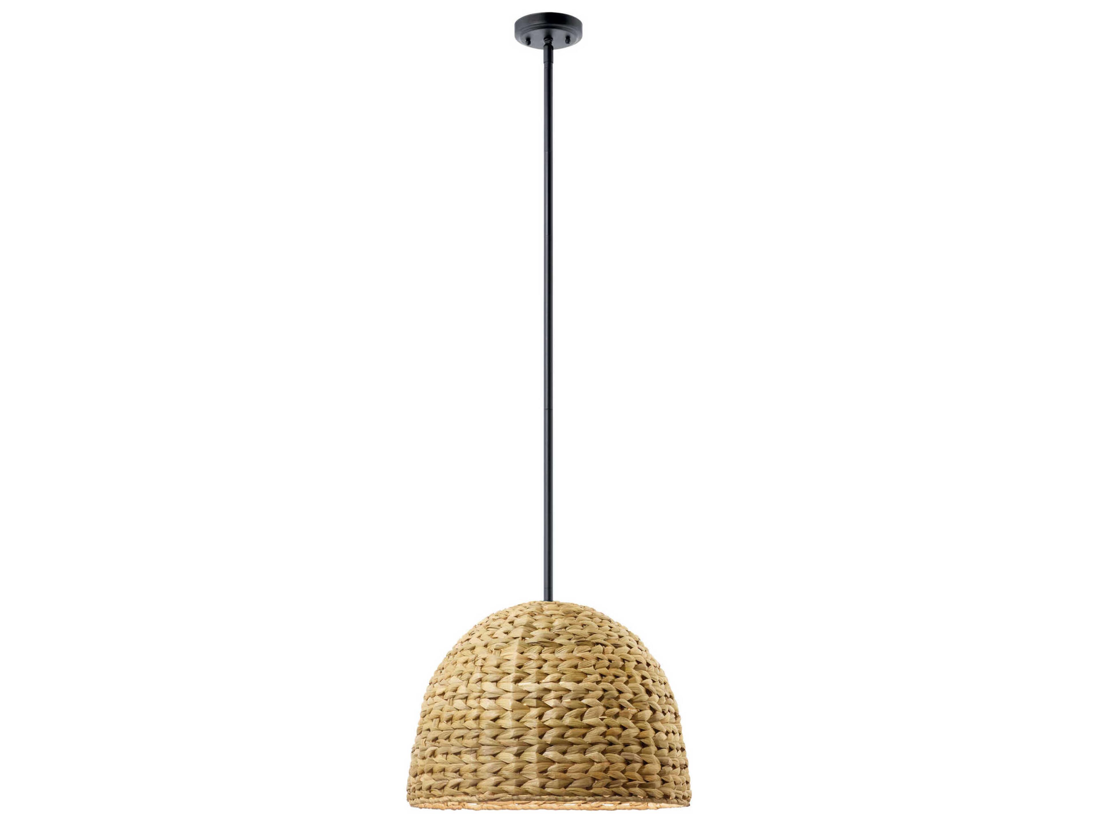 Raffiana 1-Light Black Pendant