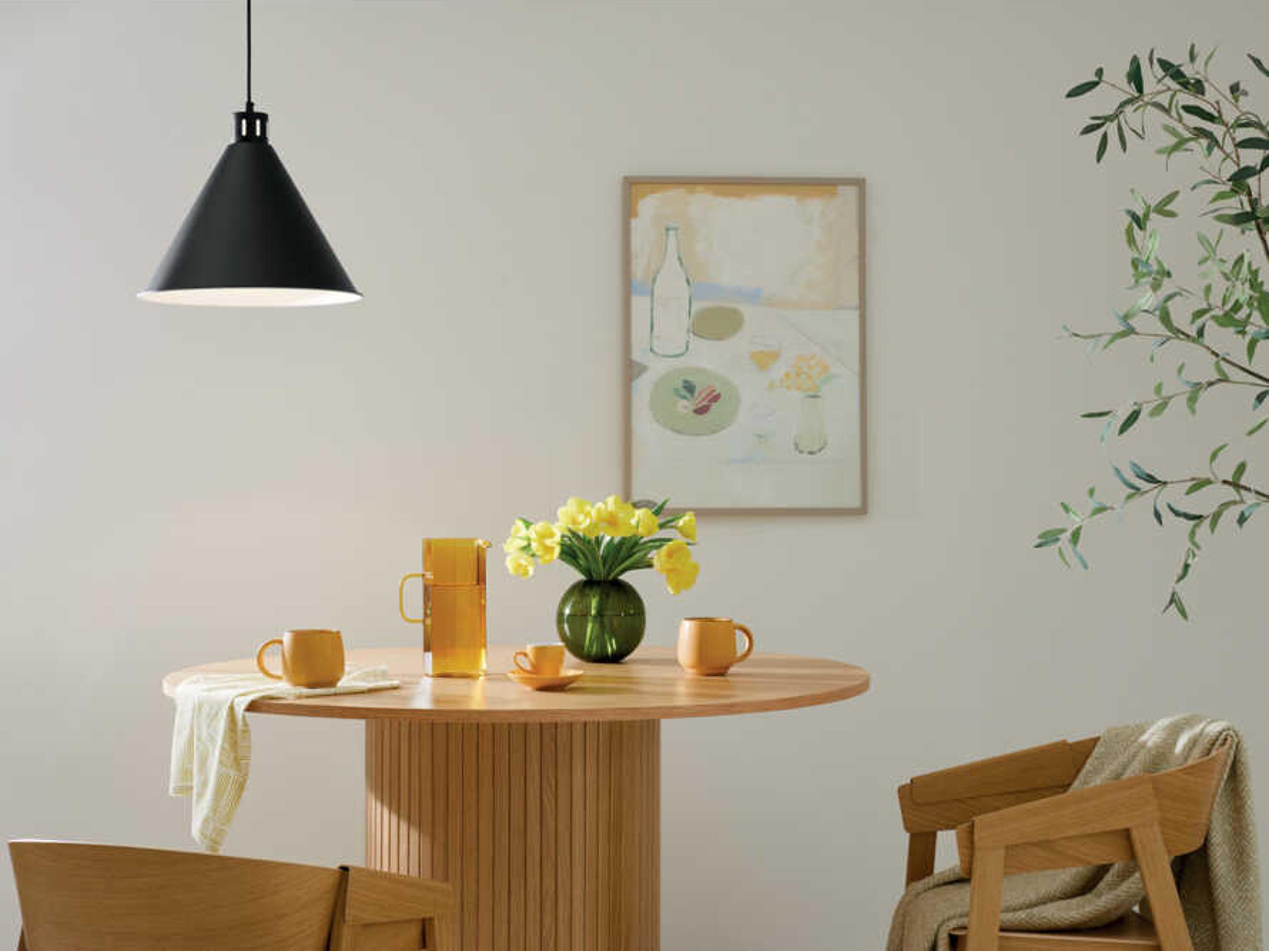 Kichler Zailey 1-Light Black Pendant