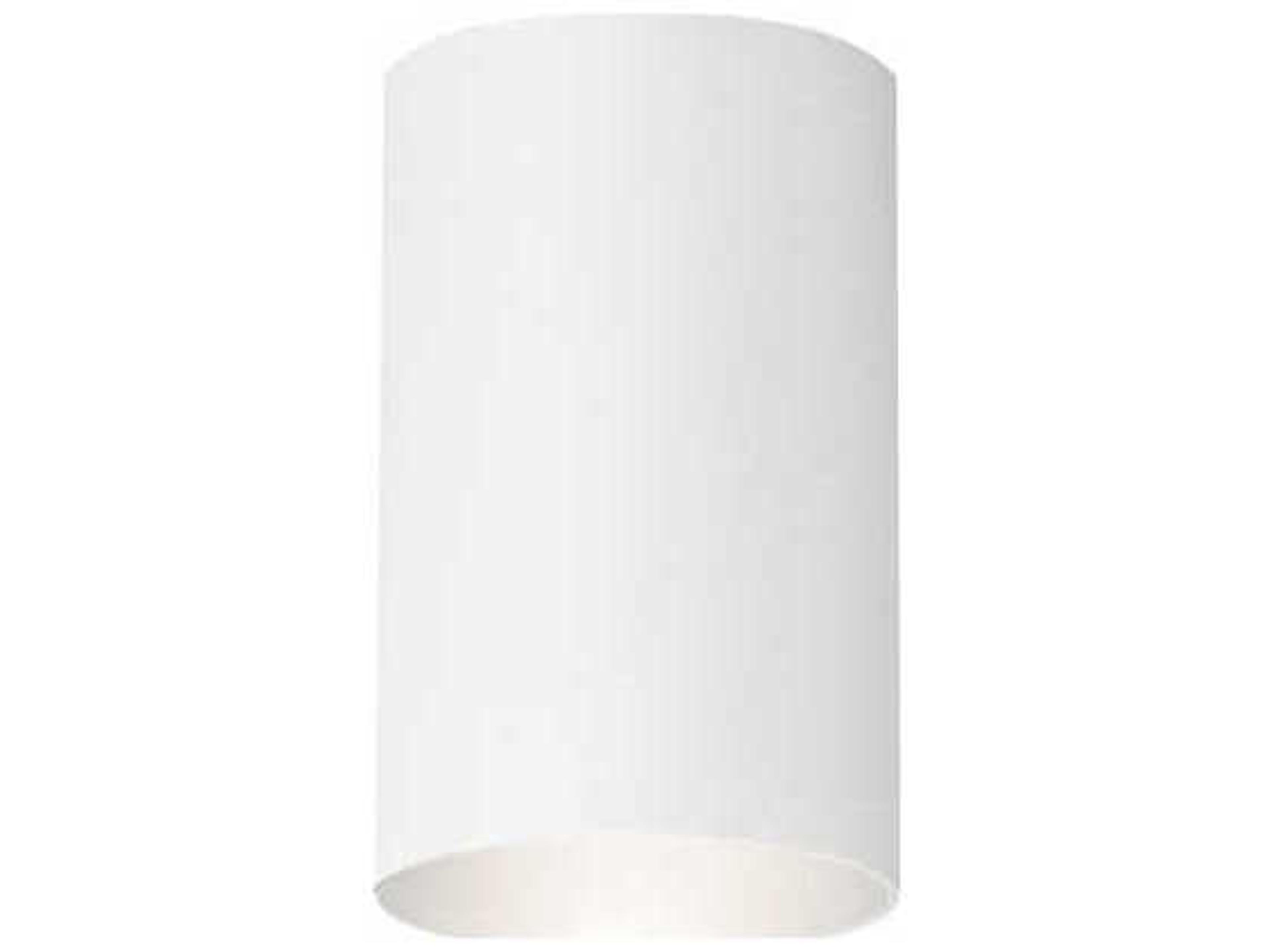 1 - Light Outdoor Ceiling Light