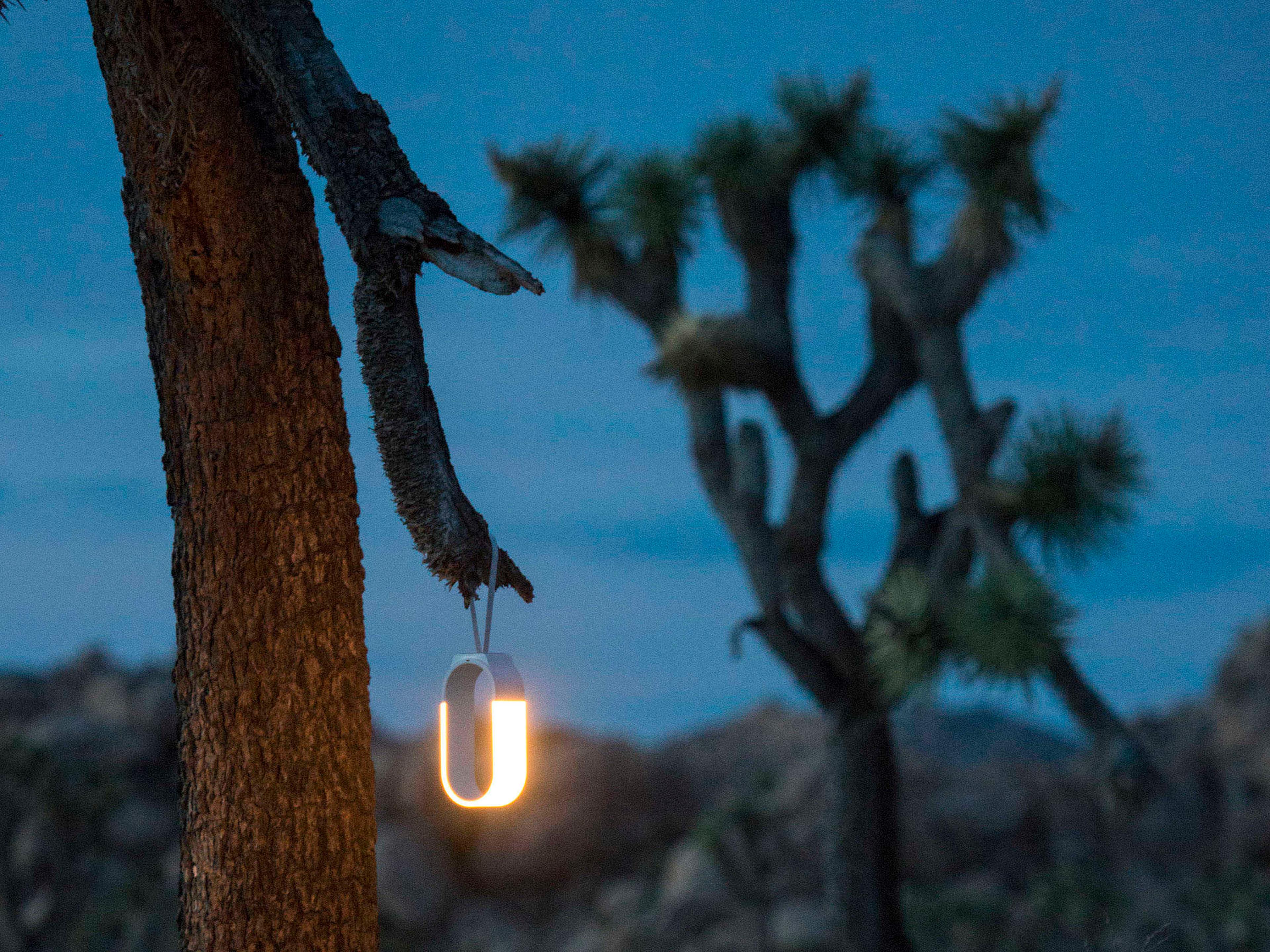 Koncept Mr Go LED Soft White Table Lamp