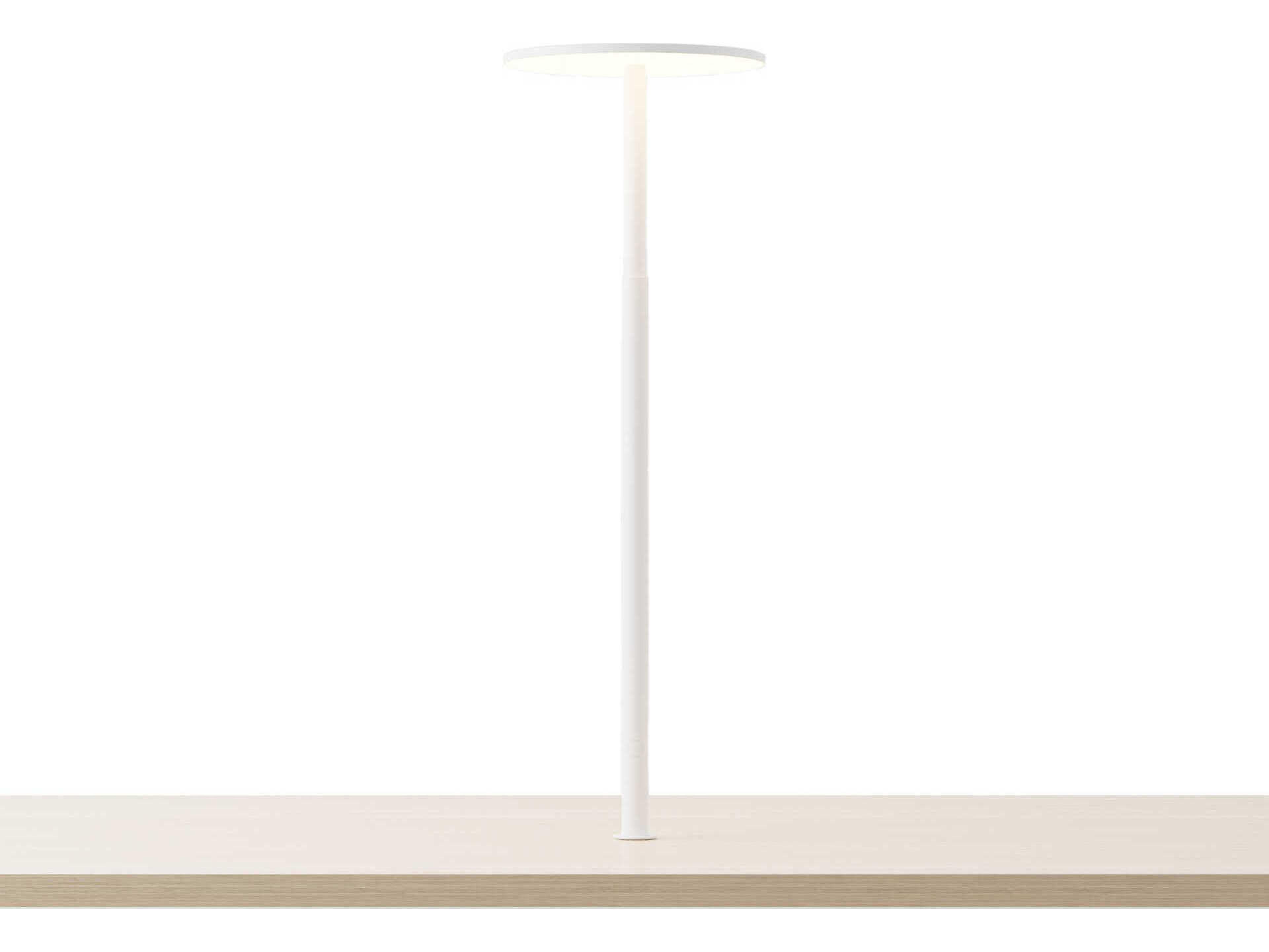Yurei Matte White Co-Working Table Lamp