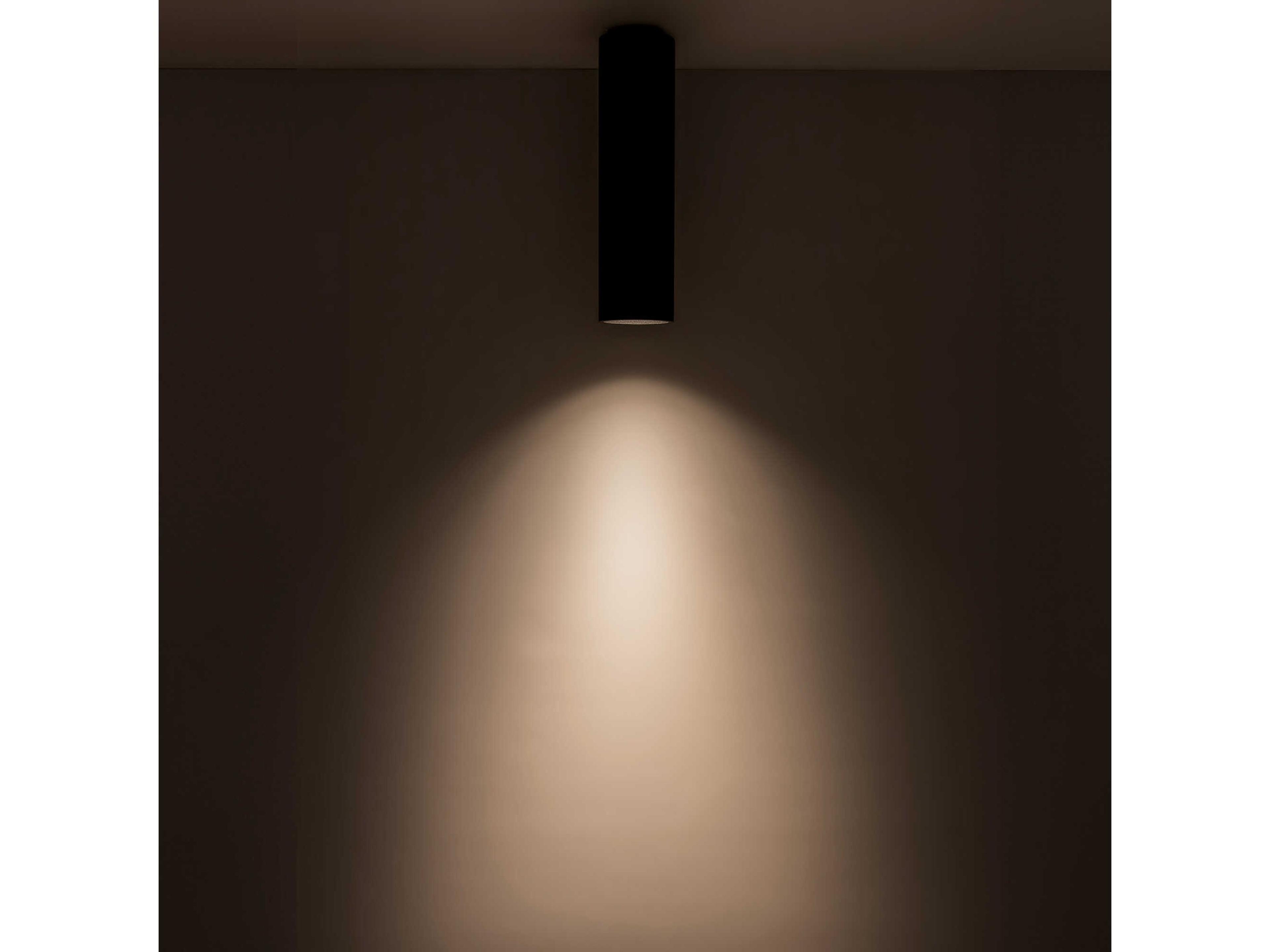 Kuzco Lighting Lorna Black Cylinder Flush Mount