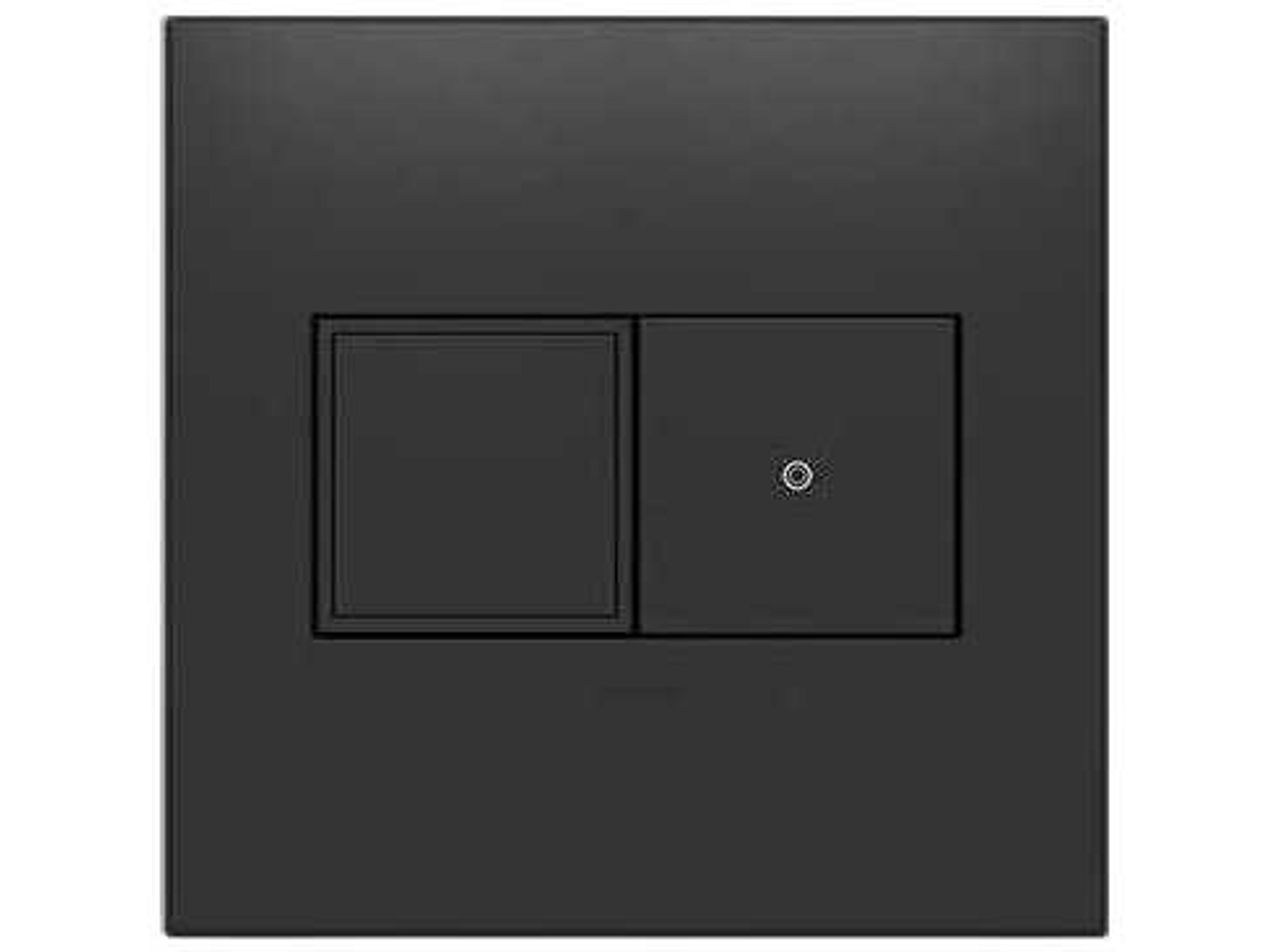 Legrand Outlets Graphite Two-Gang Pop-Out Outlet